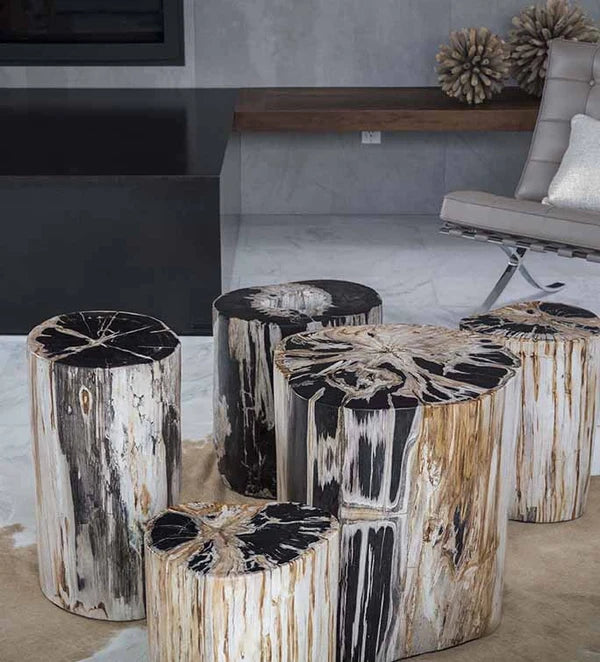 Petrified Wood Stumps