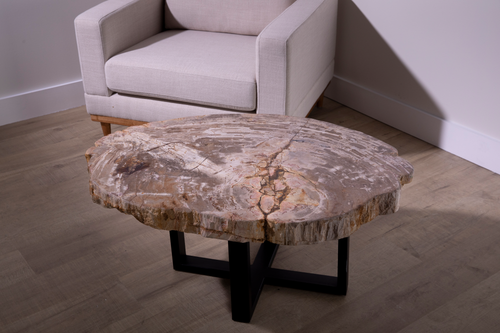 Petrified Wood