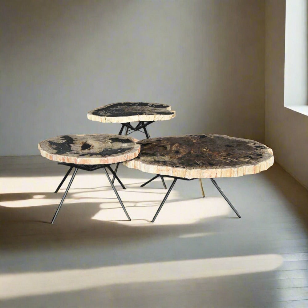 Petrified Wood Tables