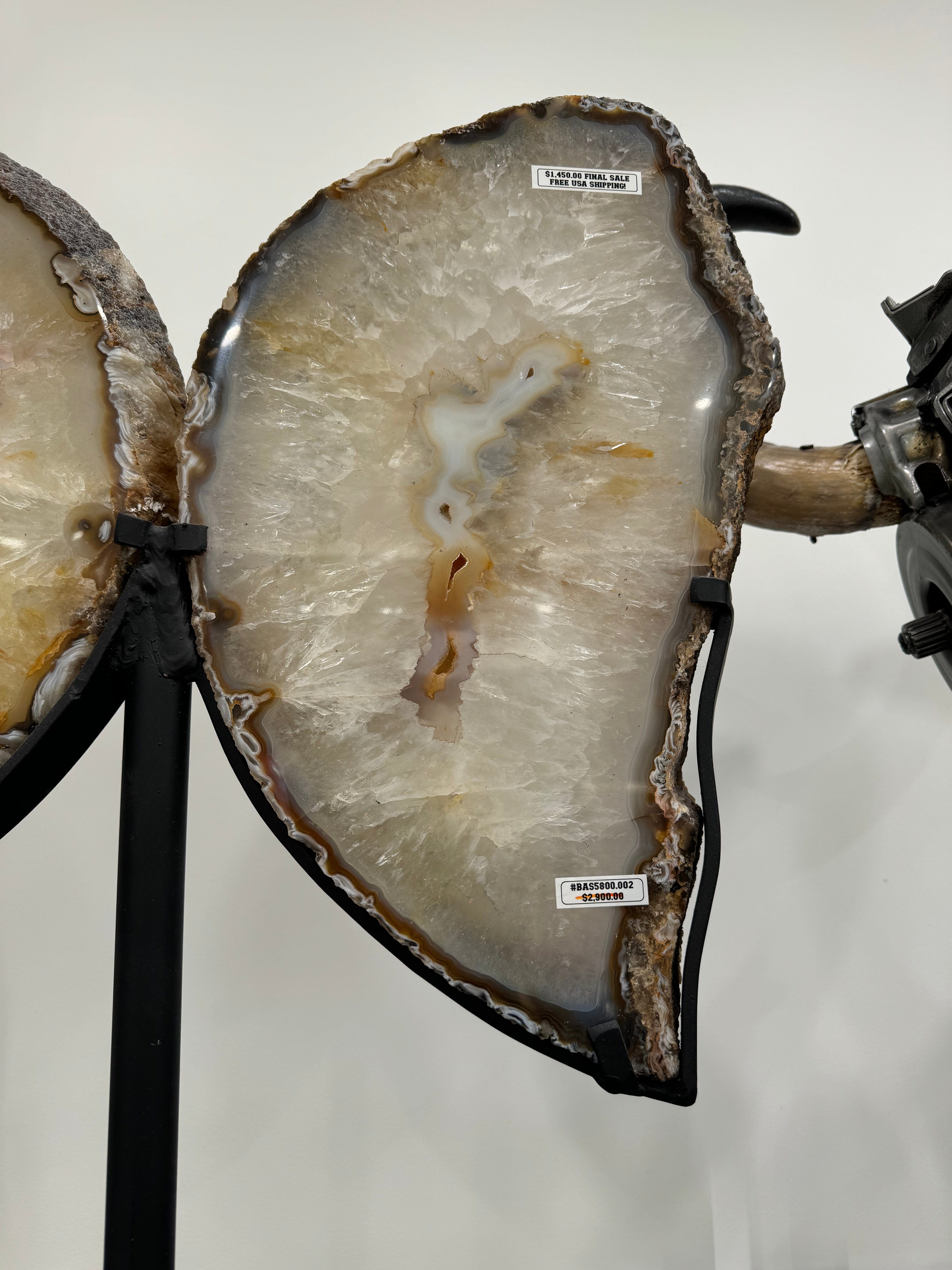 Kalifano Agate Natural Brazilian Agate & Quartz Slice Wings on Custom Stand - 28" / 33 lbs BAS5800.002