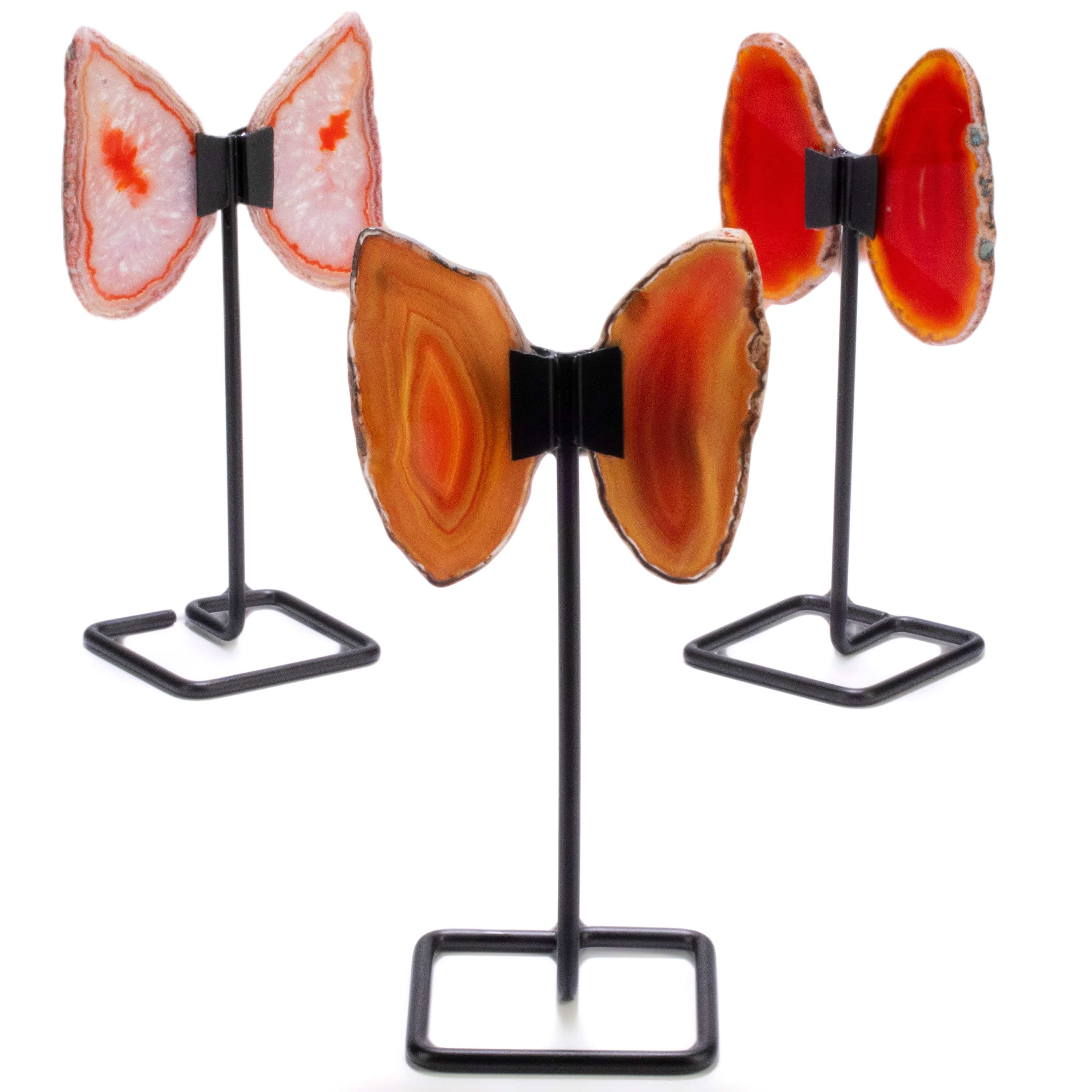 Kalifano Agate Orange Agate Wings on Custom Stand BAW120-OG