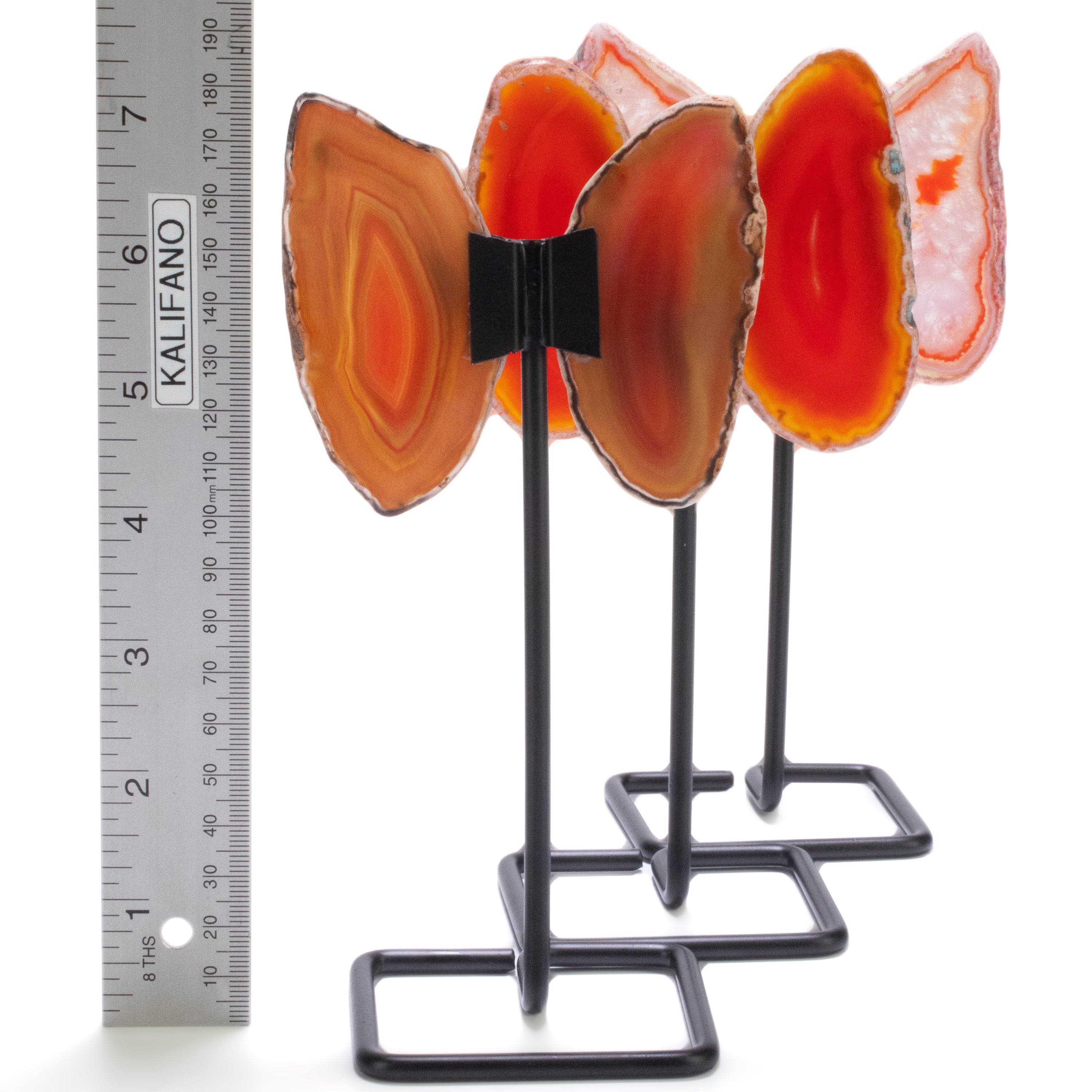 Kalifano Agate Orange Agate Wings on Custom Stand BAW120-OG