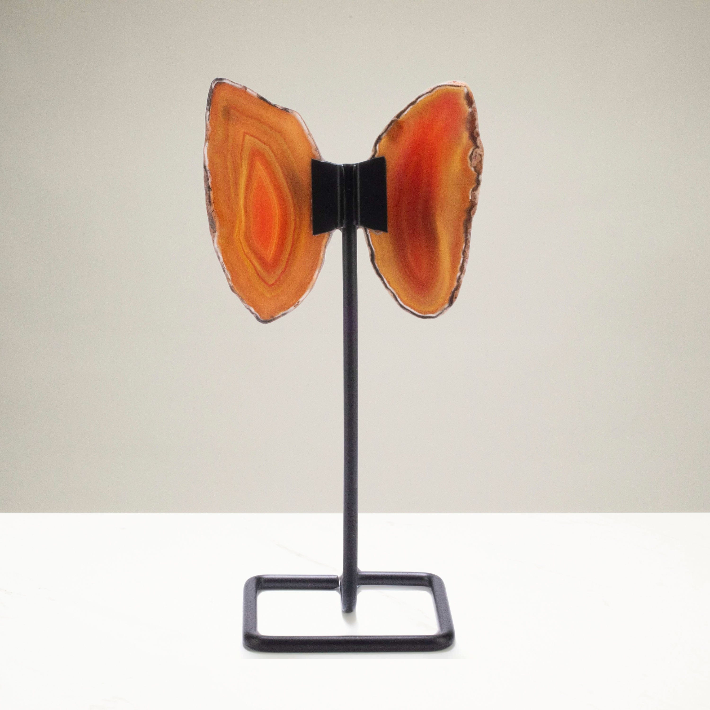 Kalifano Agate Orange Agate Wings on Custom Stand BAW120-OG