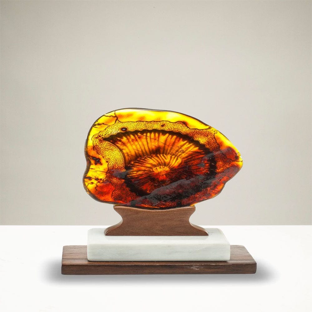 Kalifano Amber AMB3900.002 - Hand Carved Samora Amber Ammonite - Mexico AMB3900.002