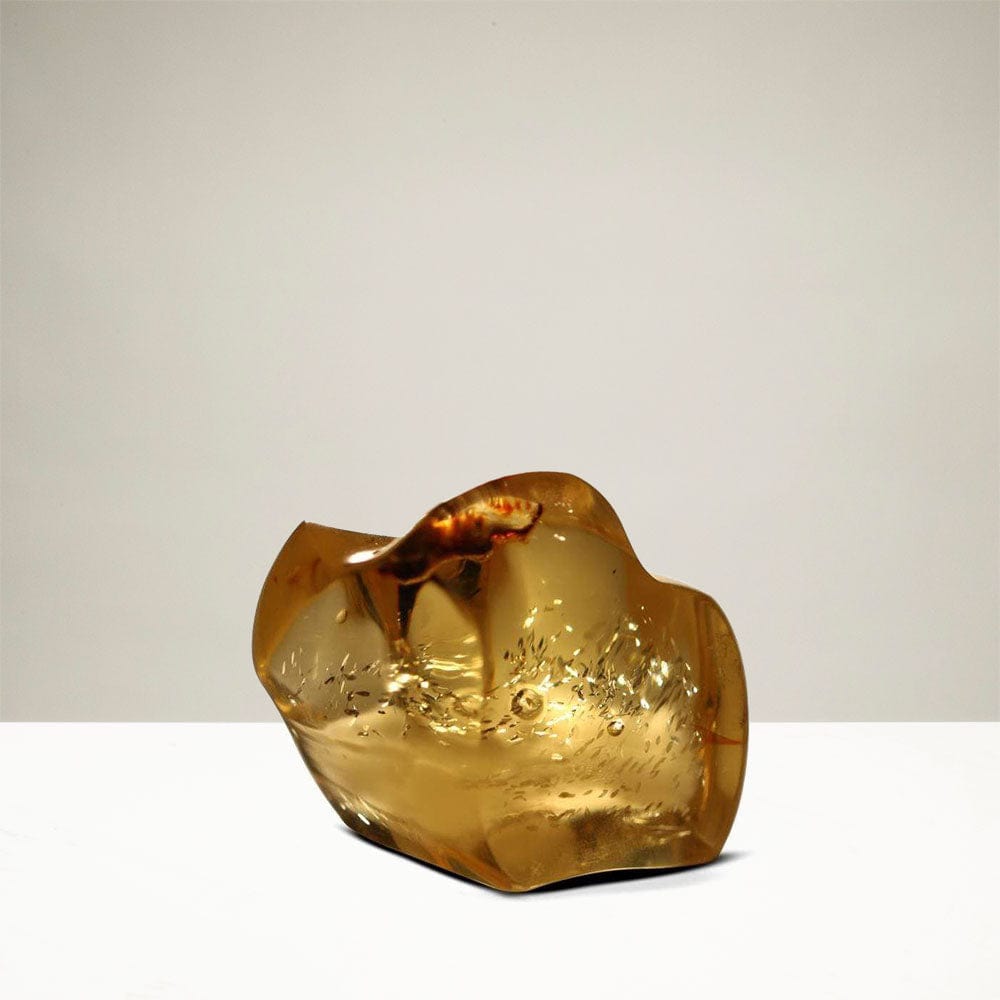 Kalifano Amber AMBER800.005 - Copal Amber Columbia- 3" x 2" x 2.5" AMBER800.005