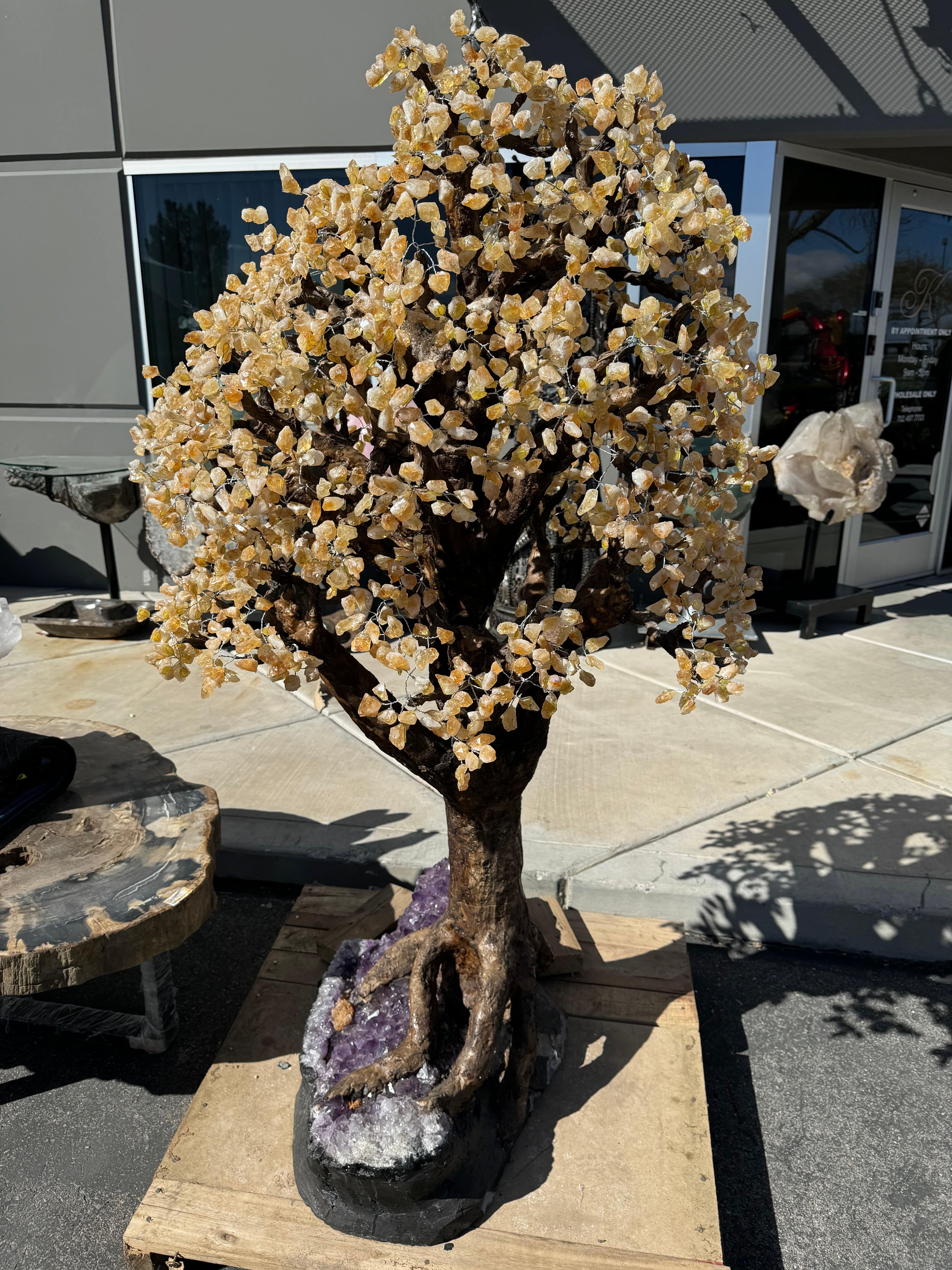 Kalifano Amethyst Citrine Gemstone Tree on Amethyst Geode Bass from Brazil - 65" BAGT36000.002