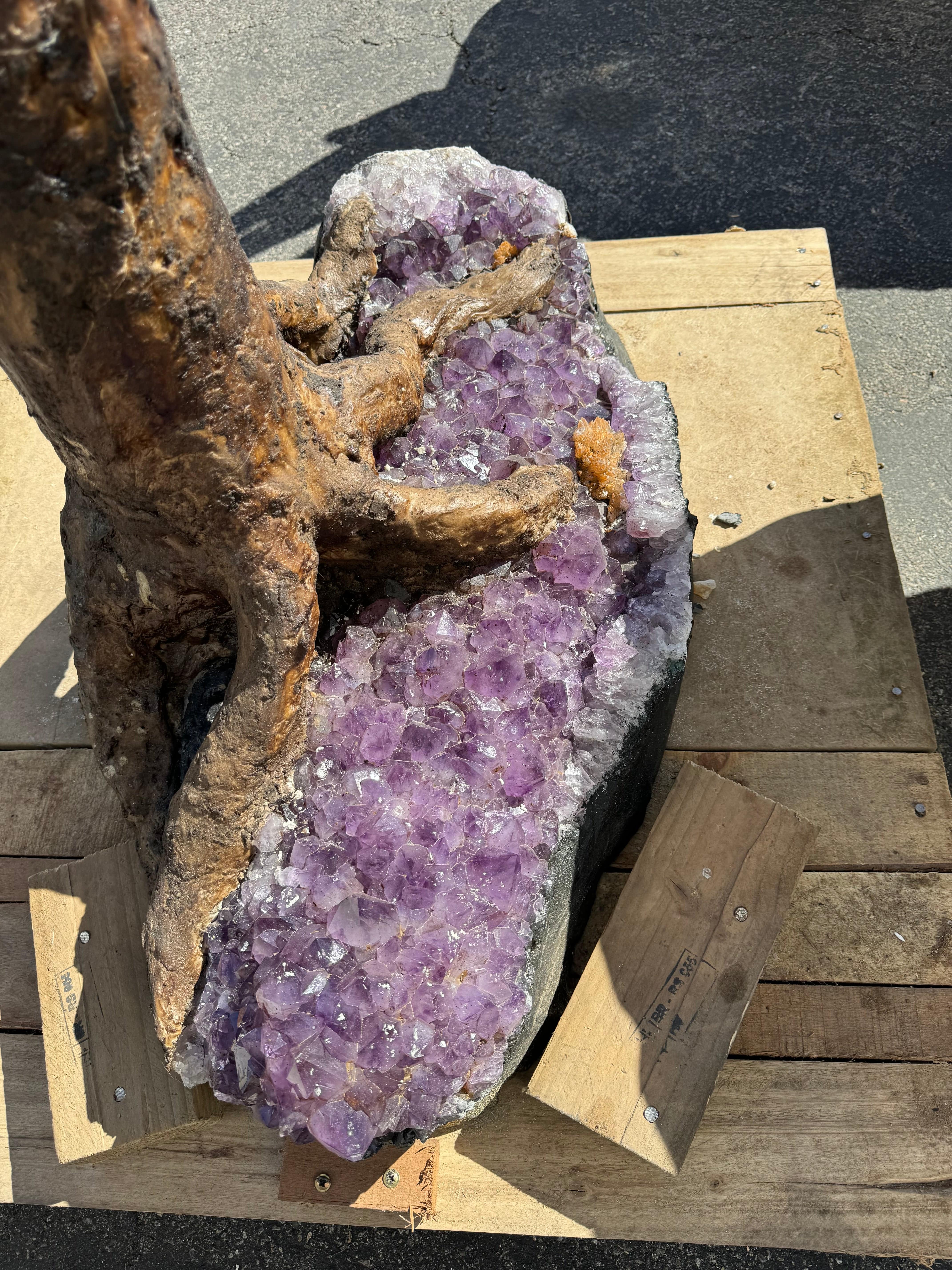 Kalifano Amethyst Citrine Gemstone Tree on Amethyst Geode Bass from Brazil - 65" BAGT36000.002