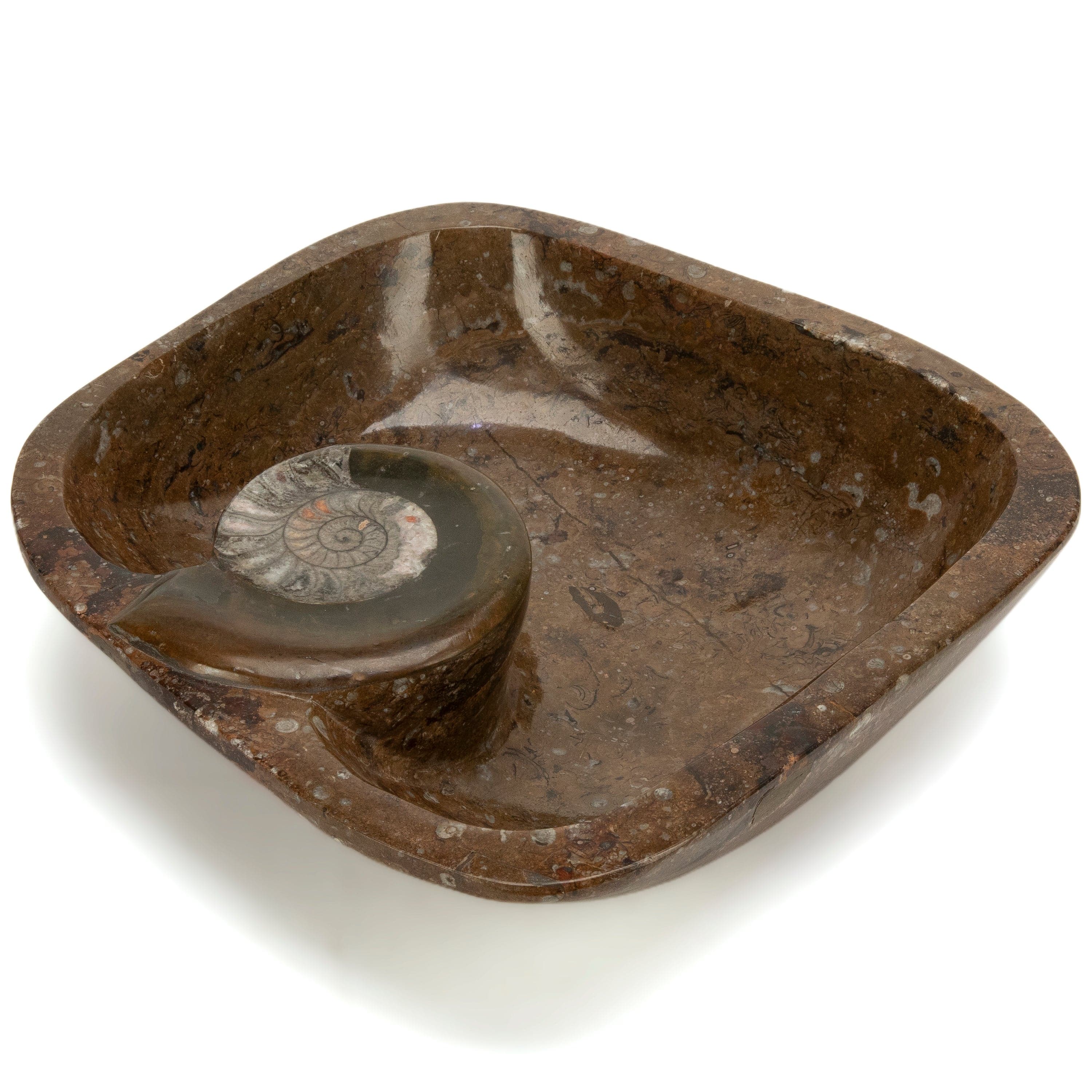 KALIFANO Ammonite Ammonite Fossil Sink Bowl from Morocco - 15" AMBOWL3200.005