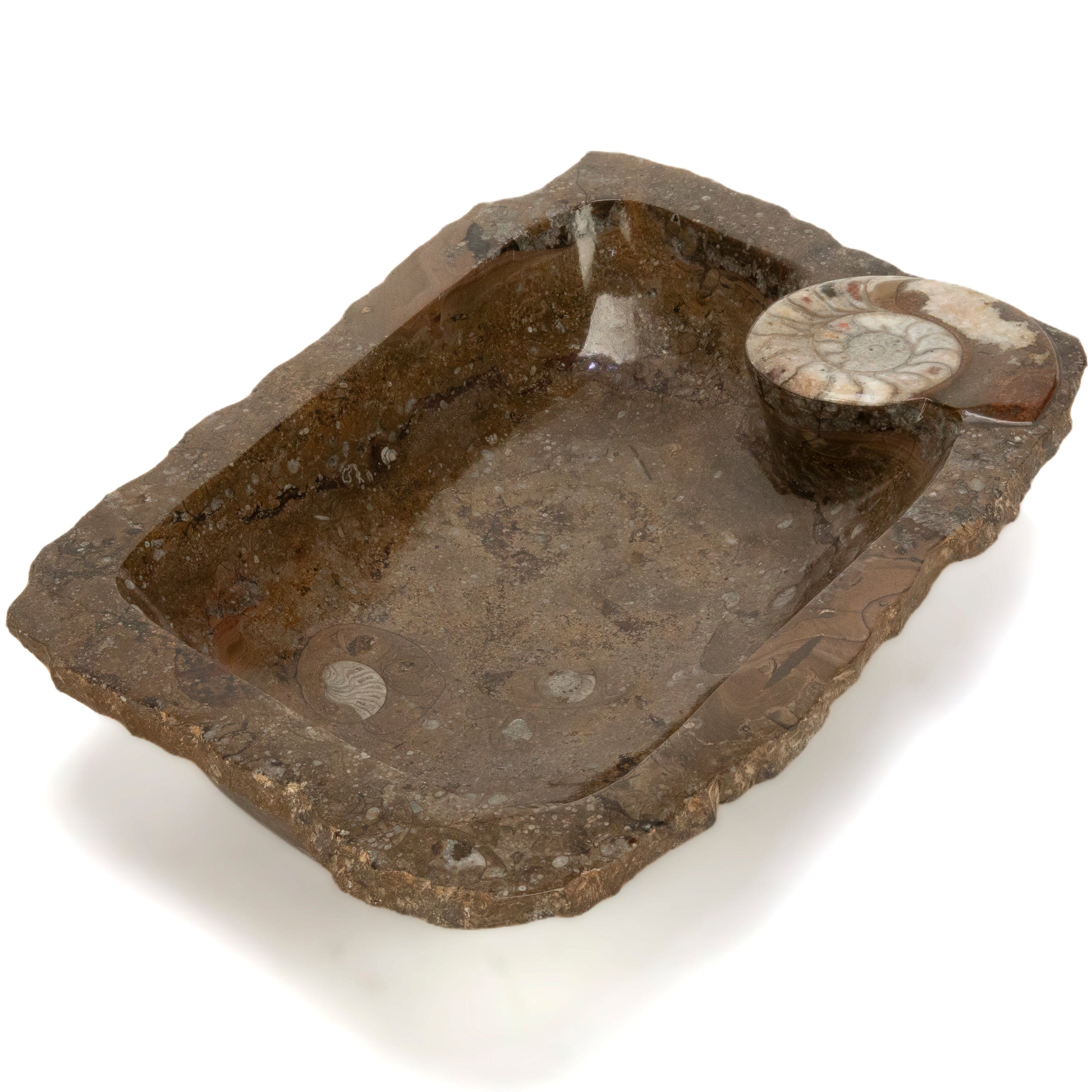 KALIFANO Ammonite Ammonite Fossil Sink Bowl from Morocco - 23.5" AMBOWL3200.001