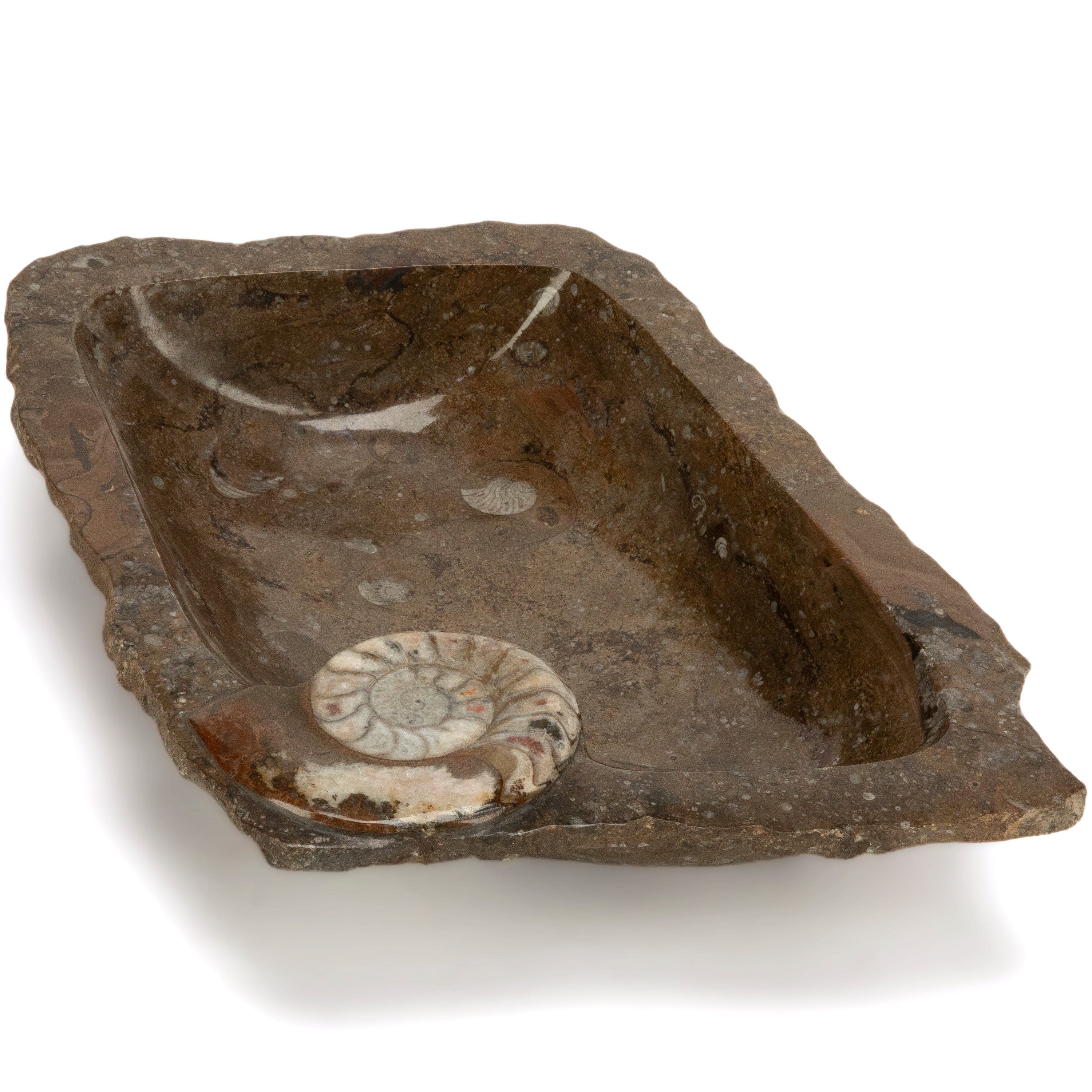 KALIFANO Ammonite Ammonite Fossil Sink Bowl from Morocco - 23.5" AMBOWL3200.001