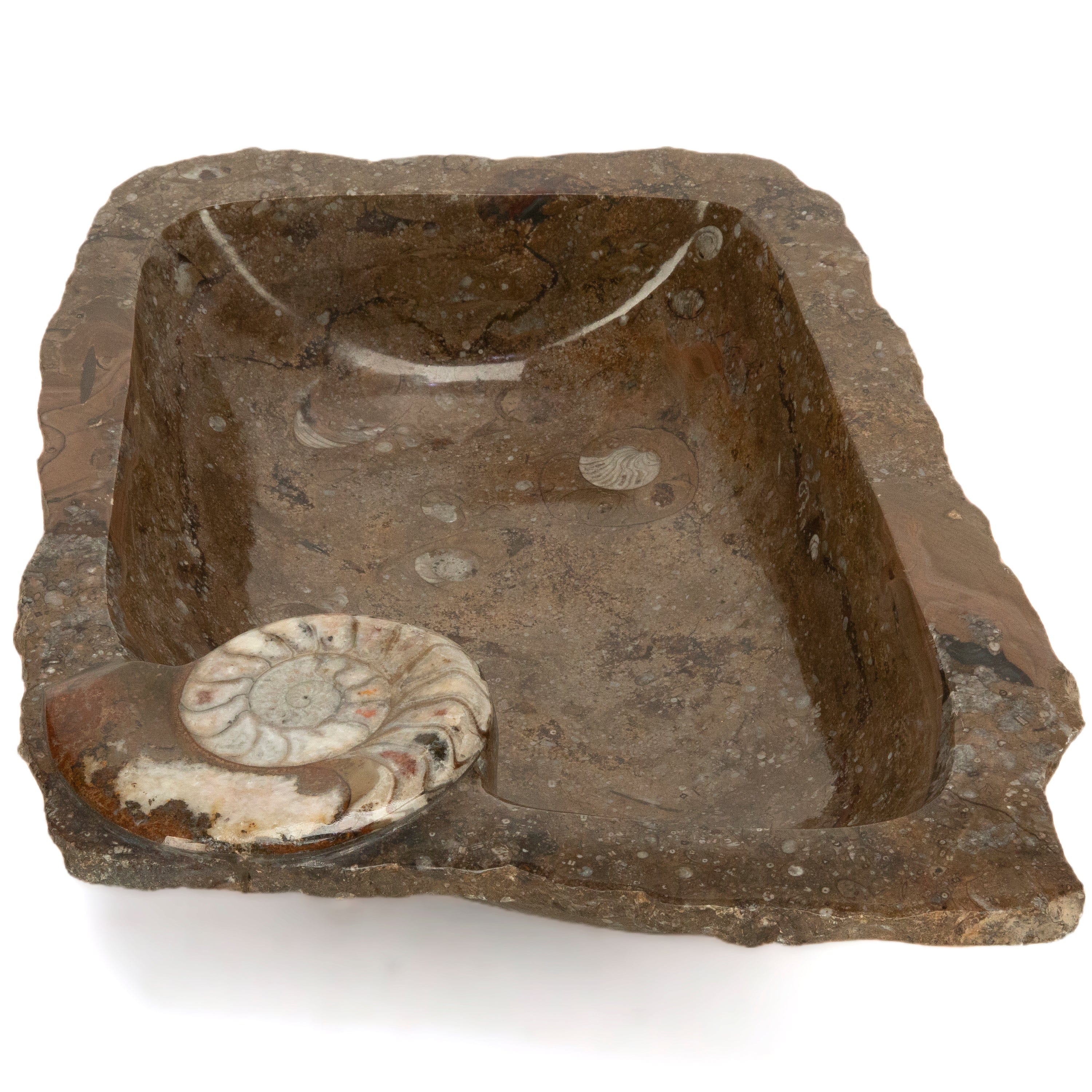 KALIFANO Ammonite Ammonite Fossil Sink Bowl from Morocco - 23.5" AMBOWL3200.001