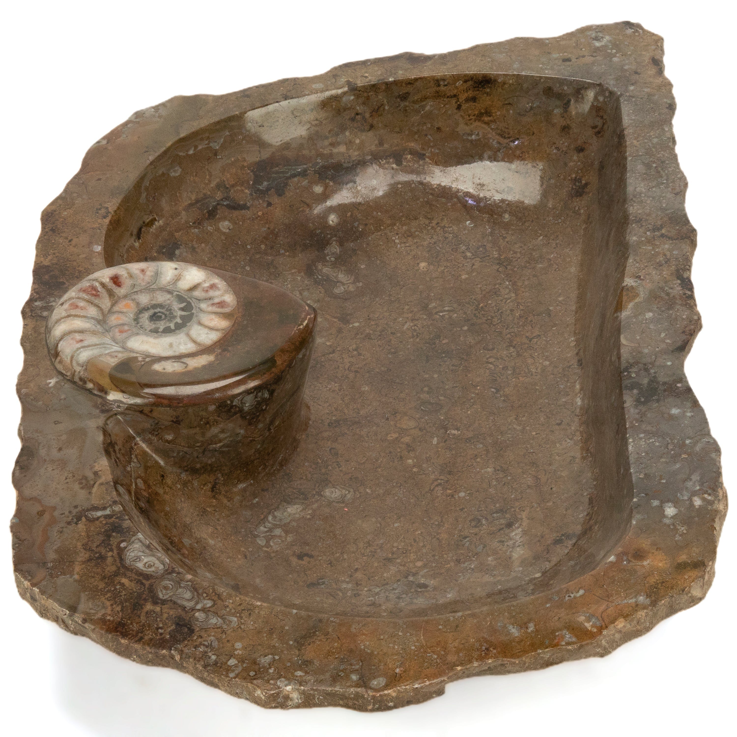 KALIFANO Ammonite Ammonite Fossil Sink Bowl from Morocco - 25" AMBOWL3200.003