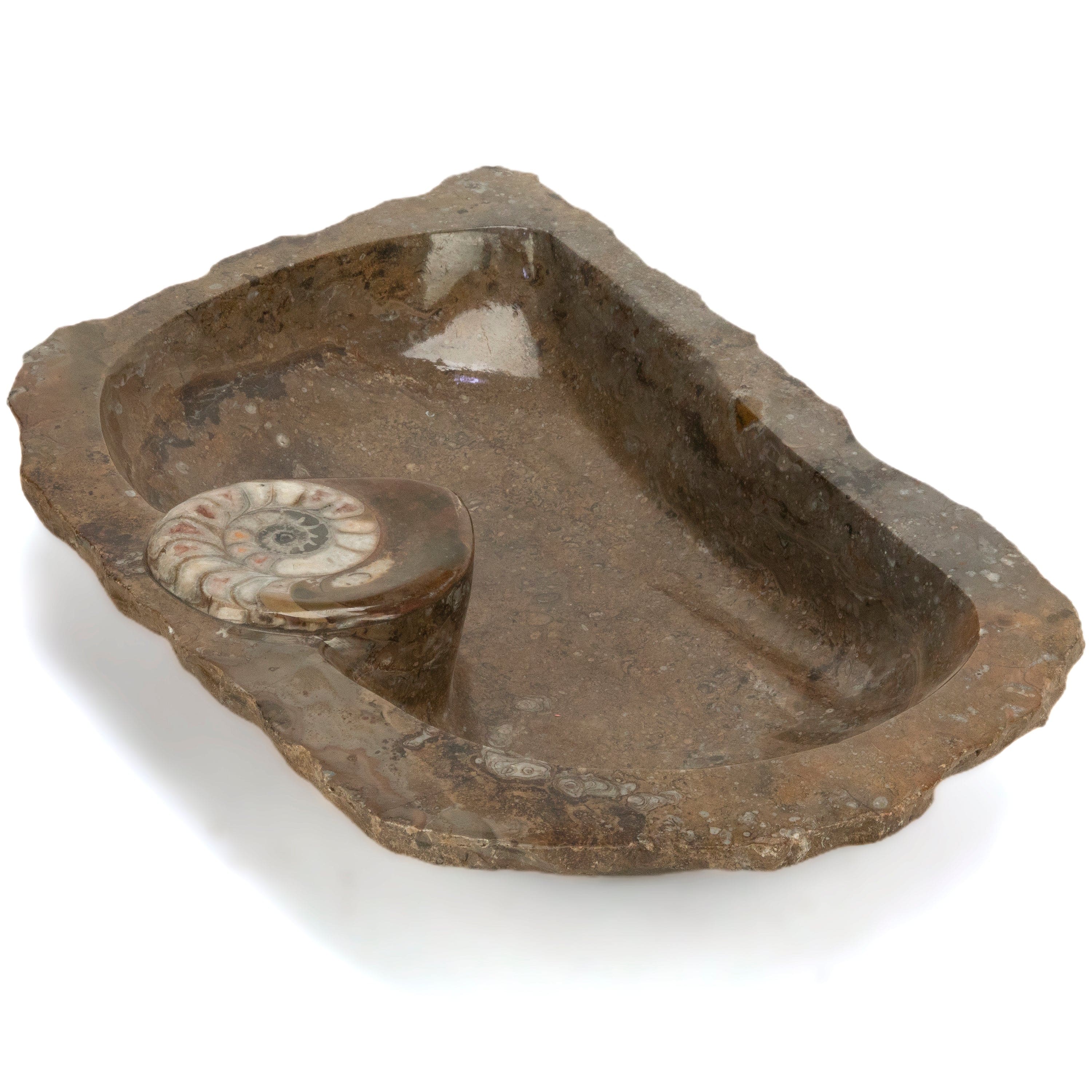 KALIFANO Ammonite Ammonite Fossil Sink Bowl from Morocco - 25" AMBOWL3200.003