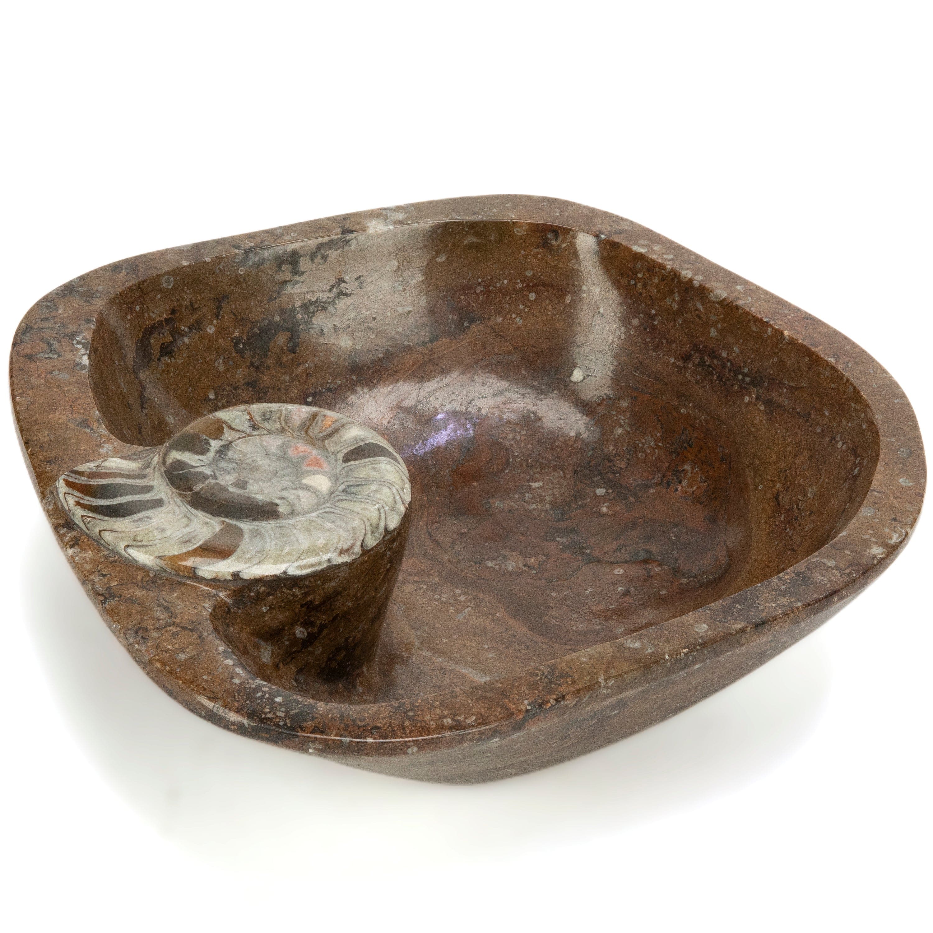 KALIFANO Ammonites Ammonite Fossil Sink Bowl from Morocco - 17.5" AMBOWL3200.002