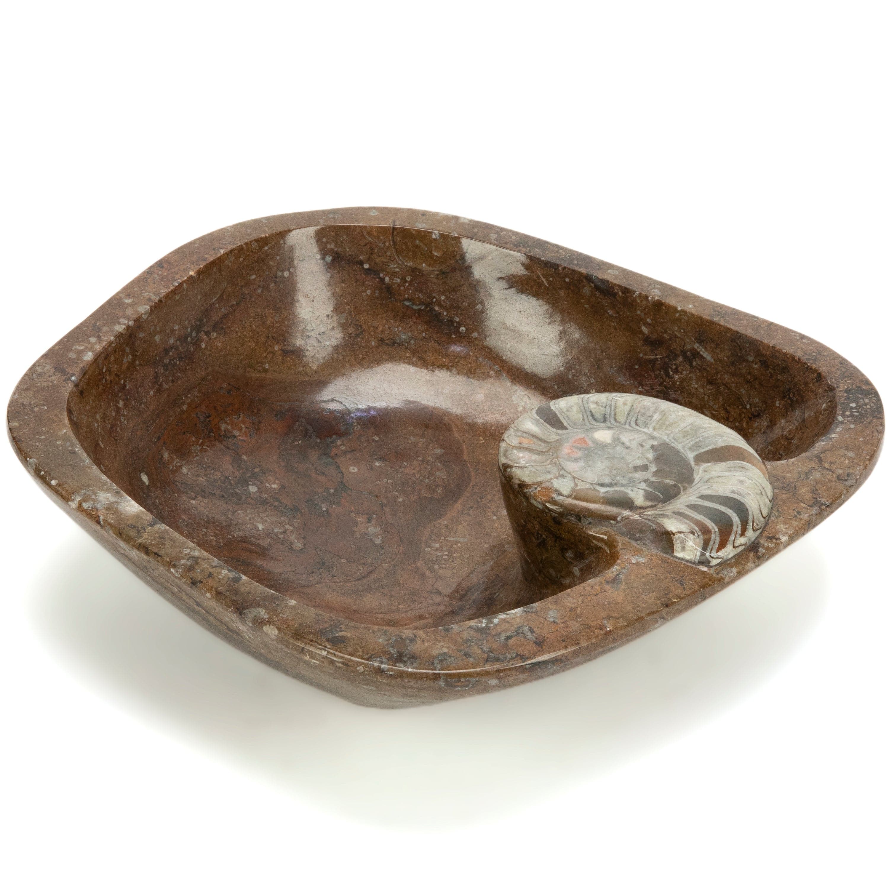 KALIFANO Ammonites Ammonite Fossil Sink Bowl from Morocco - 17.5" AMBOWL3200.002