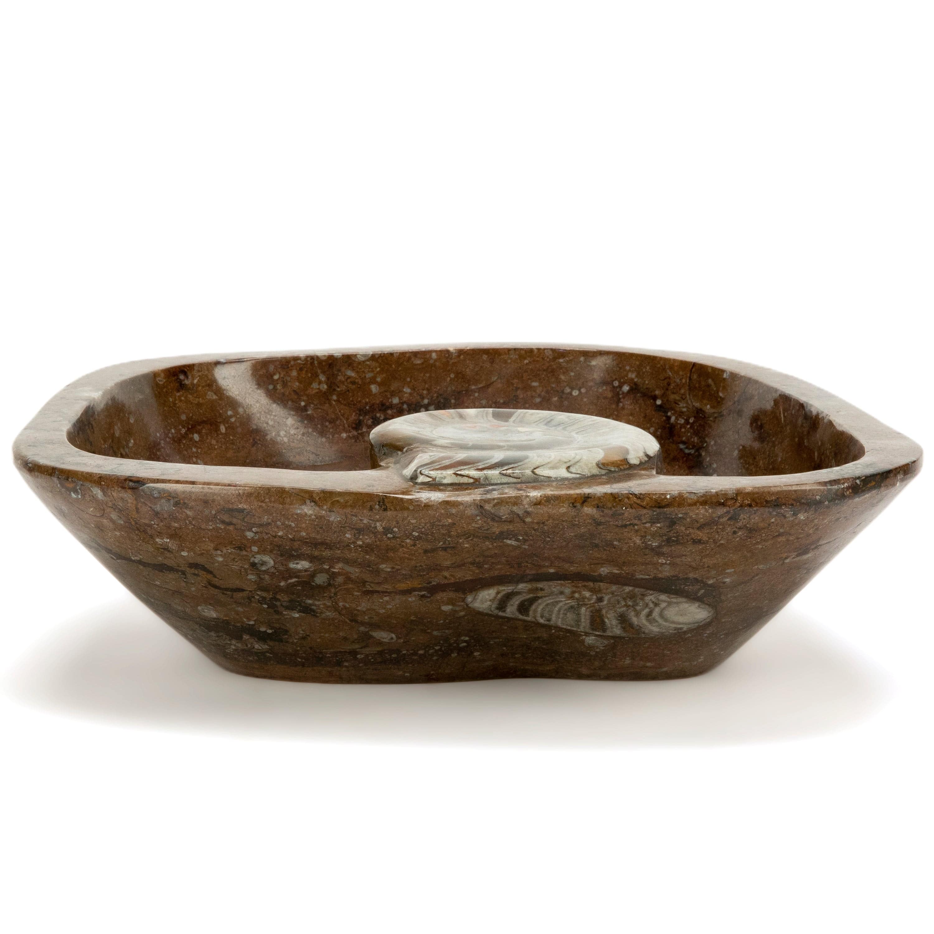 KALIFANO Ammonites Ammonite Fossil Sink Bowl from Morocco - 17.5" AMBOWL3200.002