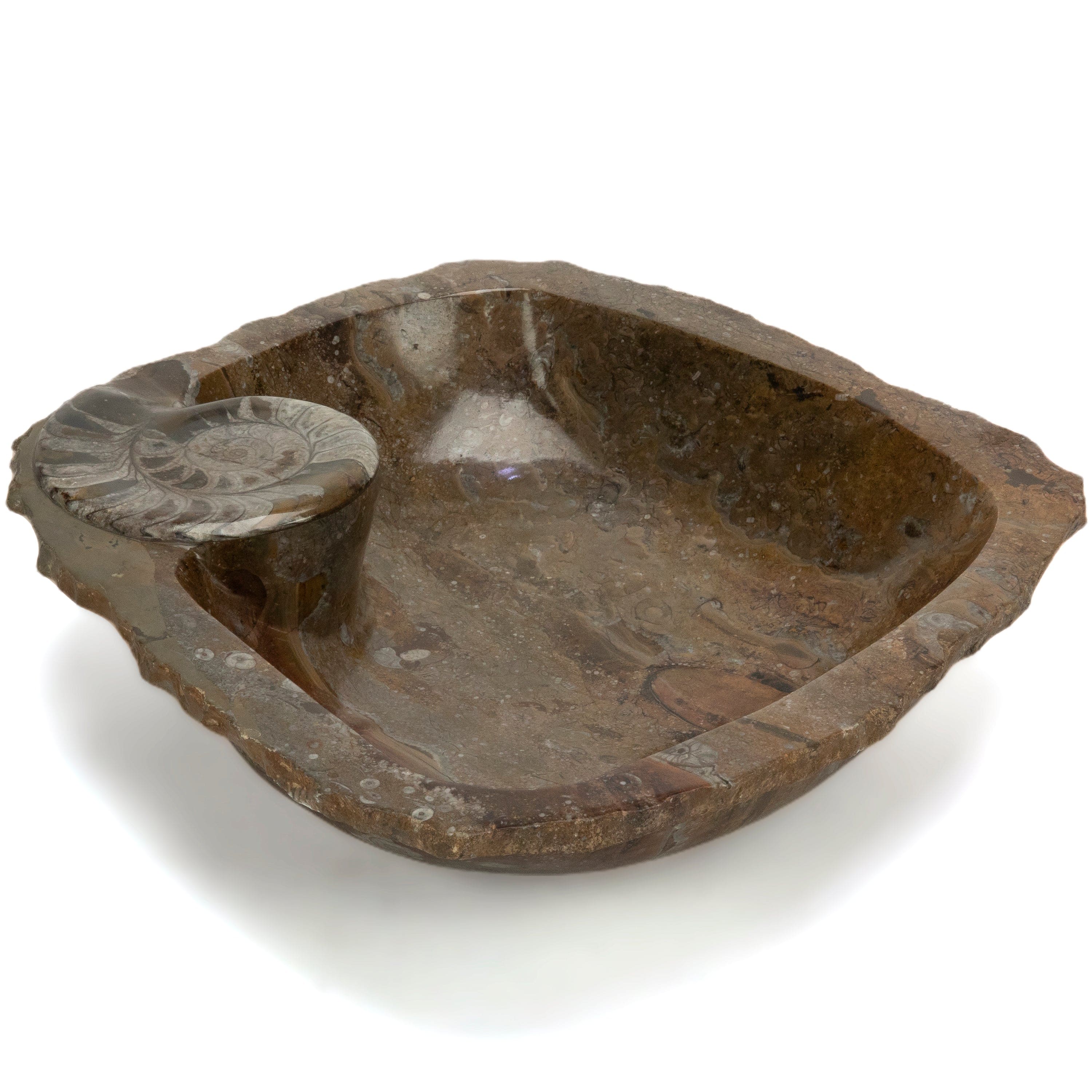 KALIFANO Ammonites Ammonite Fossil Sink Bowl from Morocco - 18" AMBOWL3200.010