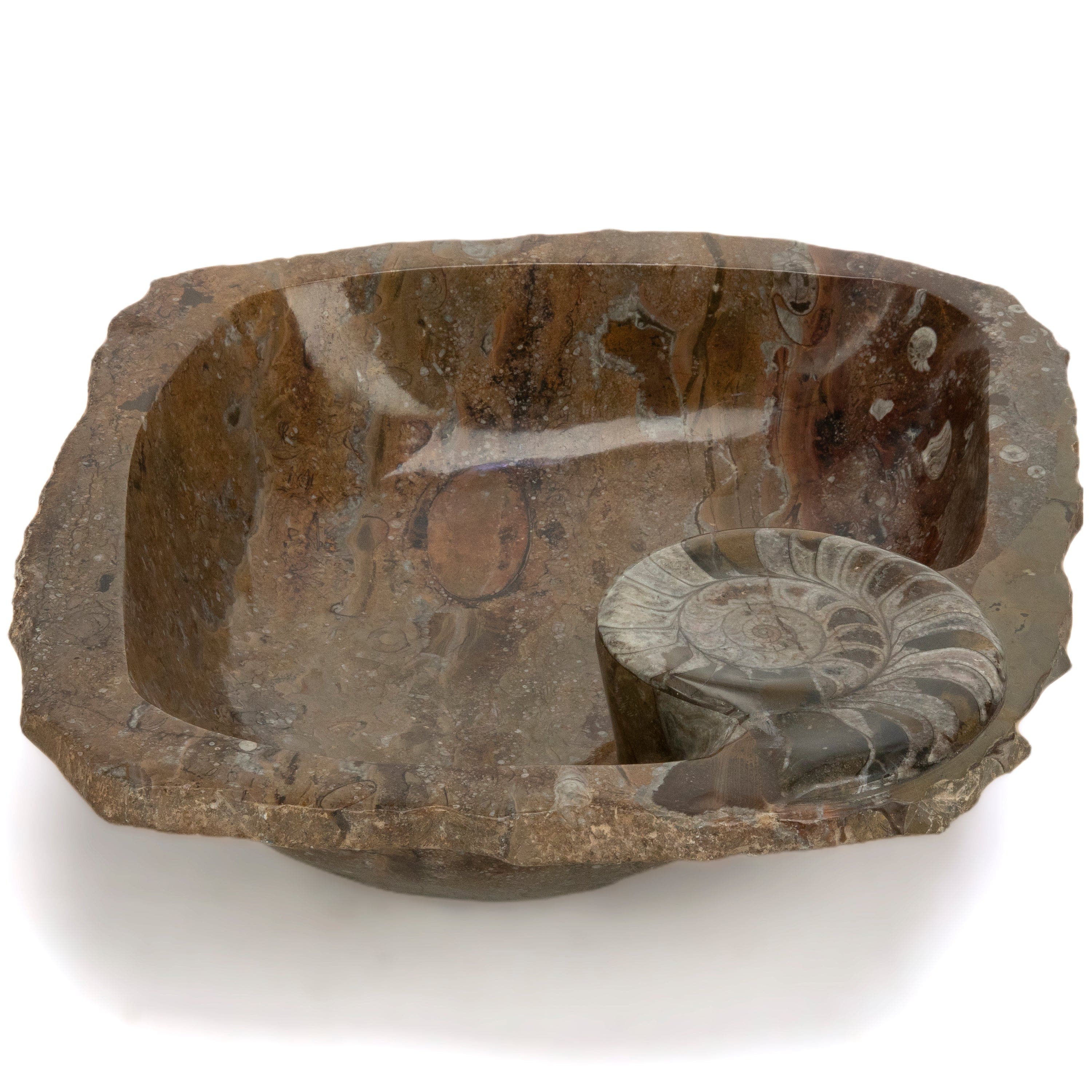 KALIFANO Ammonites Ammonite Fossil Sink Bowl from Morocco - 18" AMBOWL3200.010