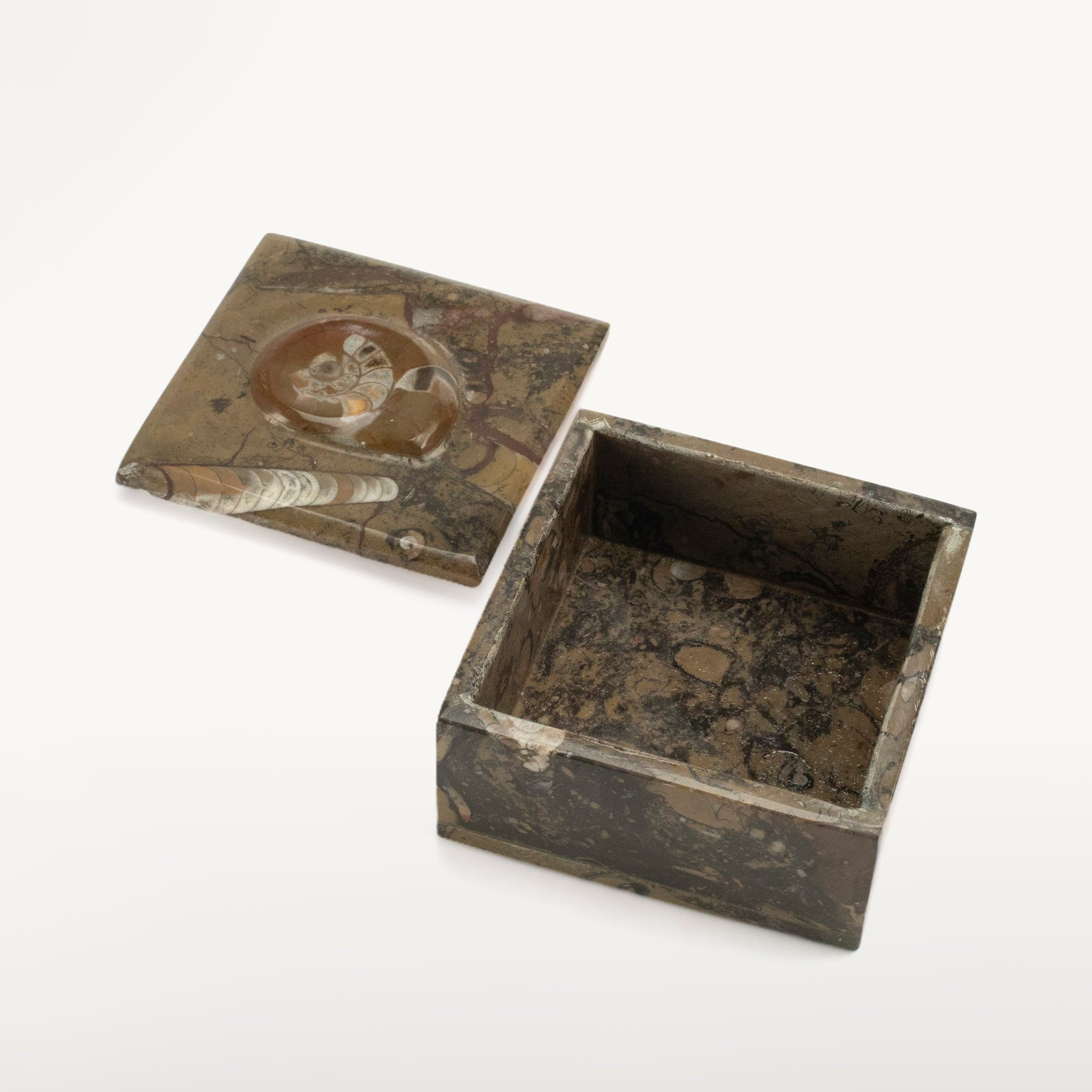 Kalifano Ammonites & Orthoceras Natural Ammonite Vanity Box from Morocco - Square & Brown SVA-AMM-BN1