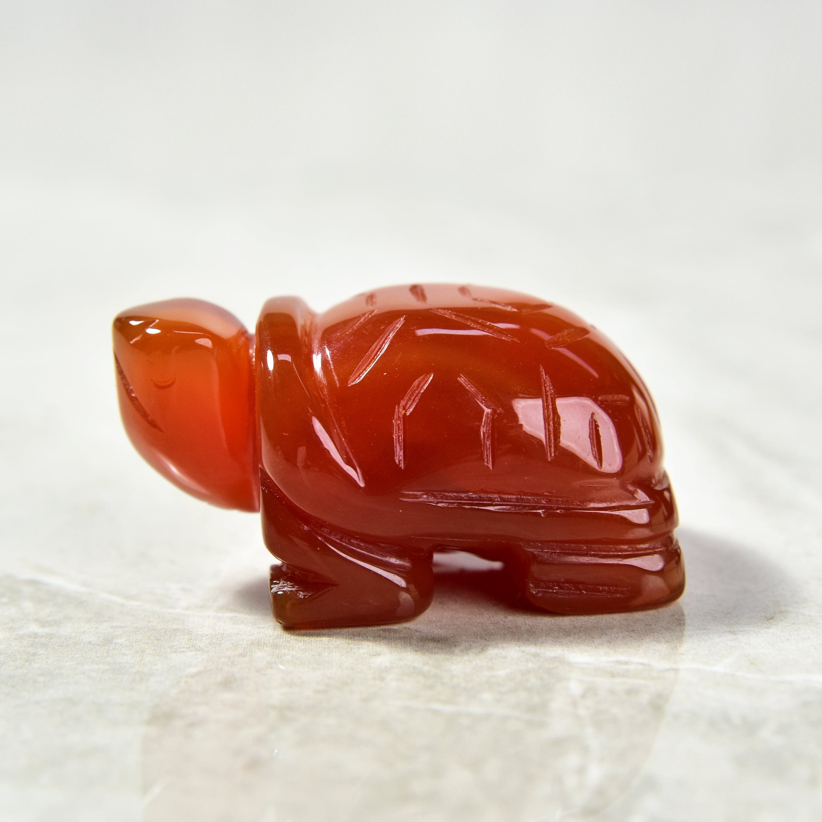 KALIFANO Gemstone Carvings 2" Carnelian Turtle Natural Gemstone Carving CV14-T-CR