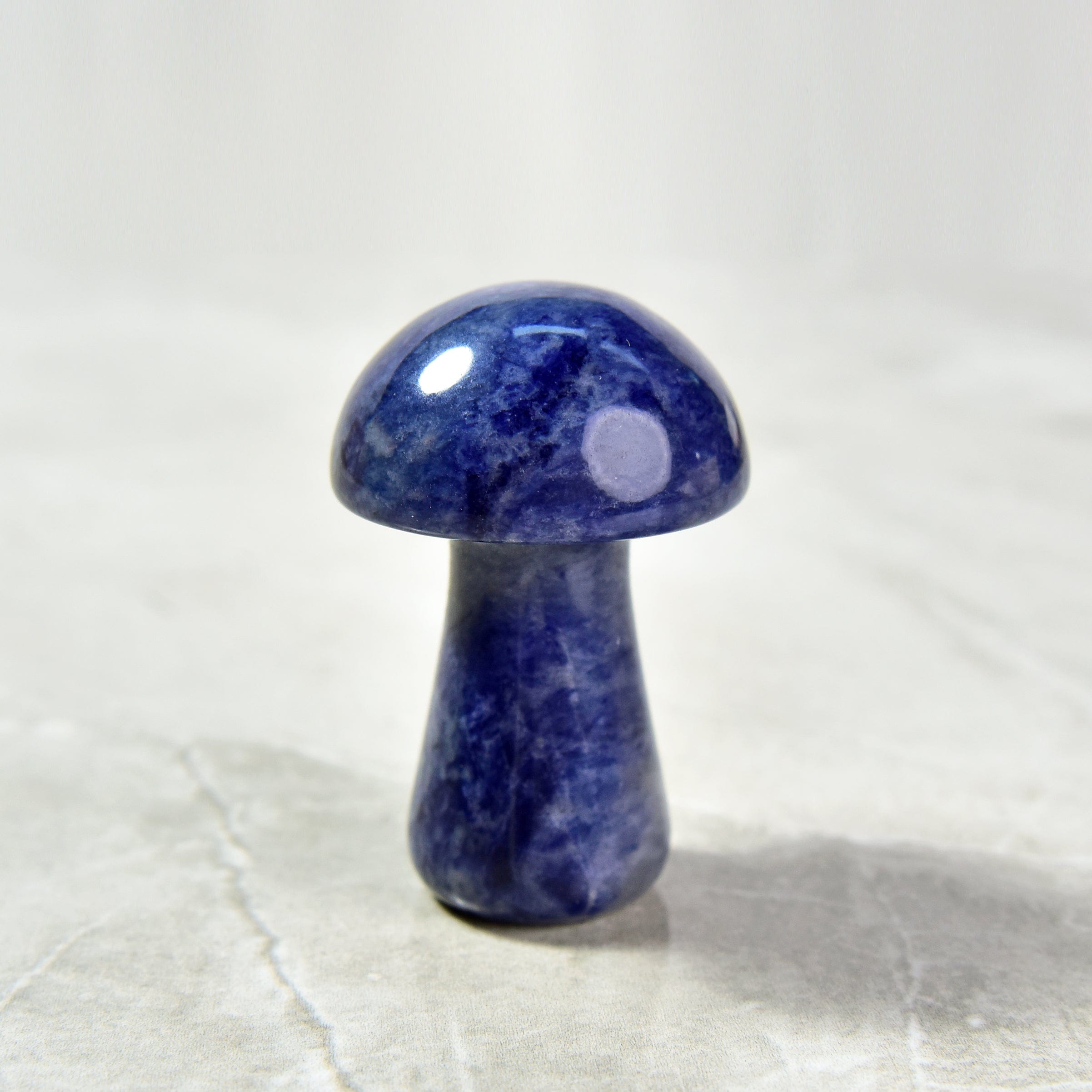 KALIFANO Gemstone Carvings 2" Sodalite Mushroom Natural Gemstone Carving CV12-M-SD