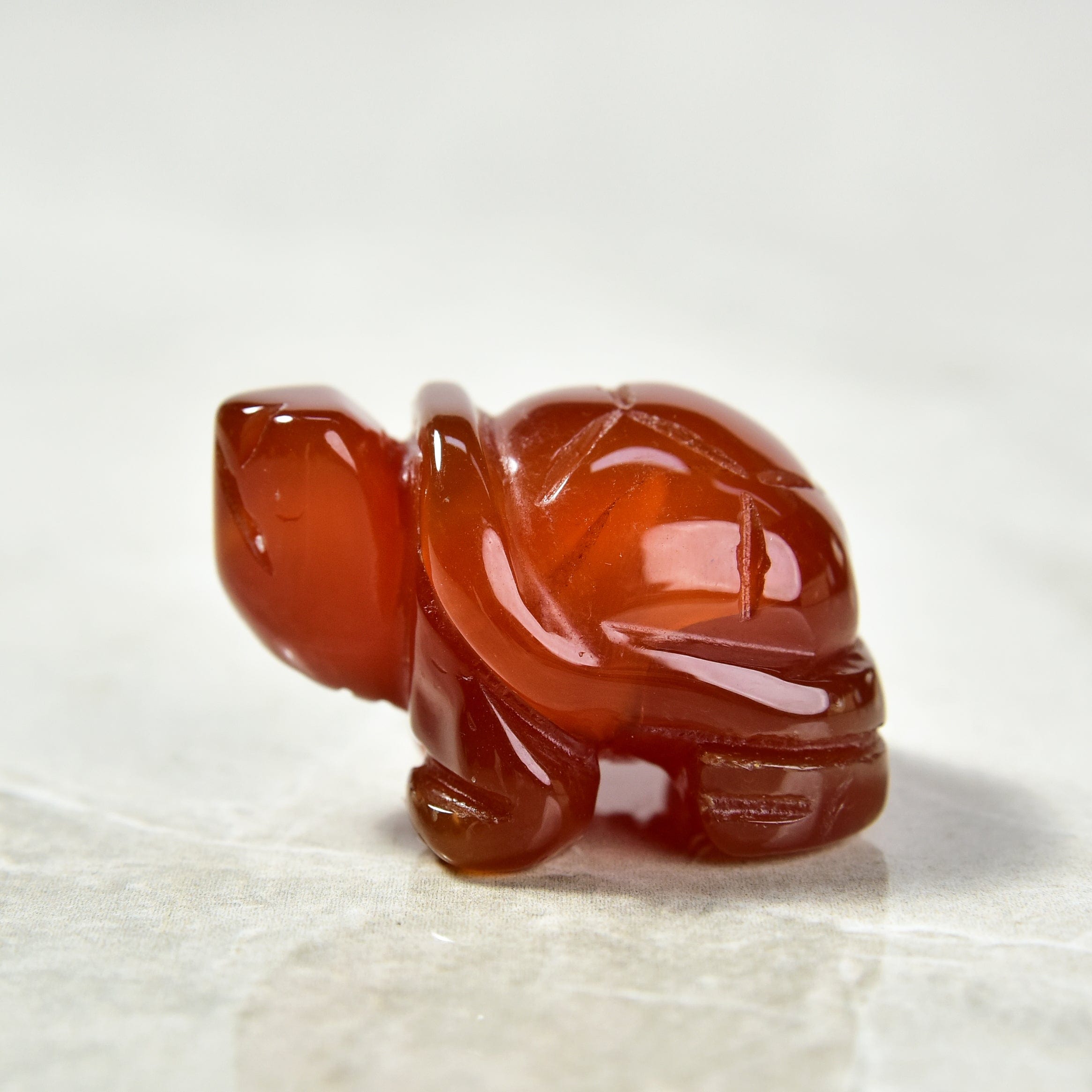 Kalifano Gemstone Carvings Carnelian Turtle 1.5'' Natural Gemstone Carving CV13-T-CR