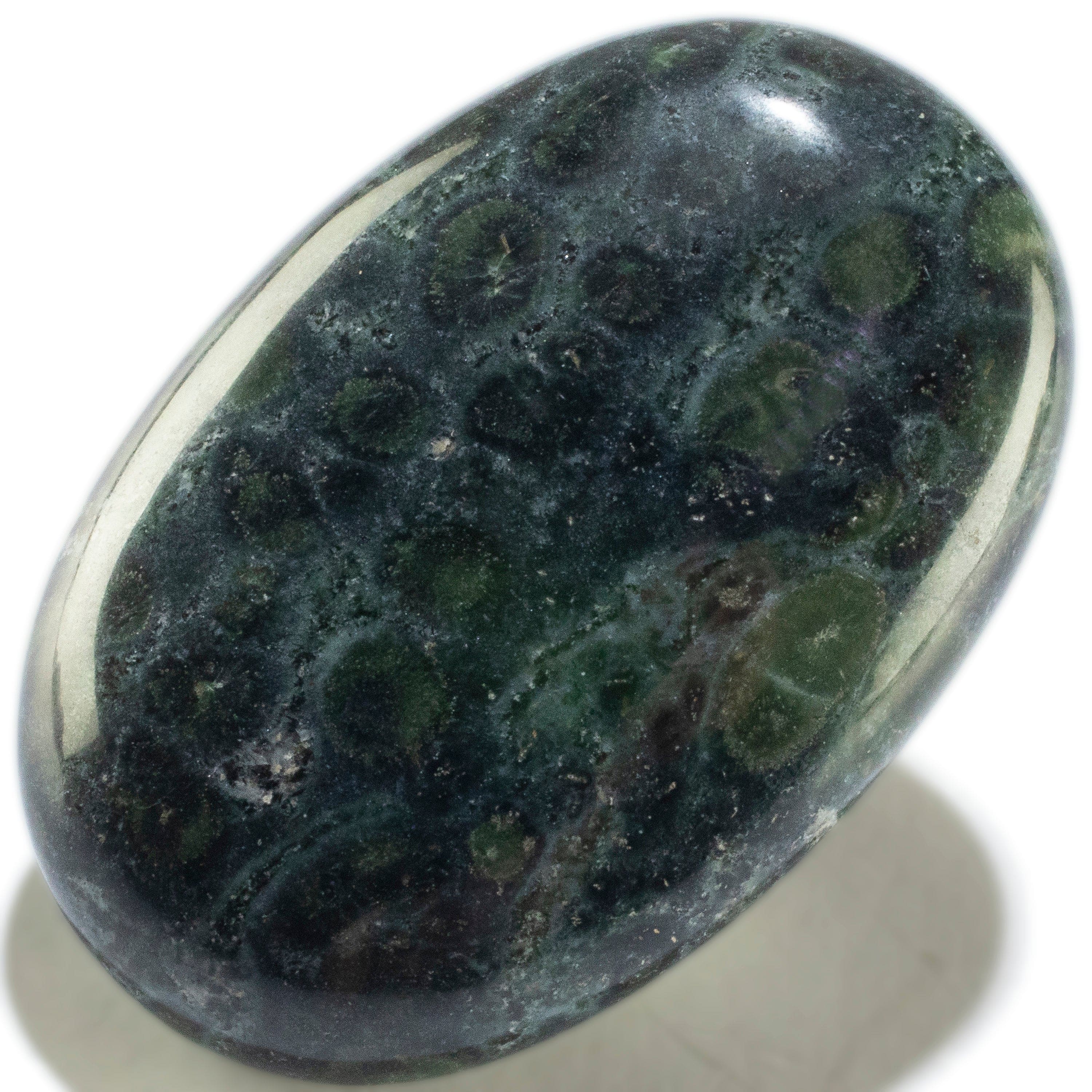 Kalifano Gemstone Carvings Kambaba Jasper Palm Stone PS60-KJ