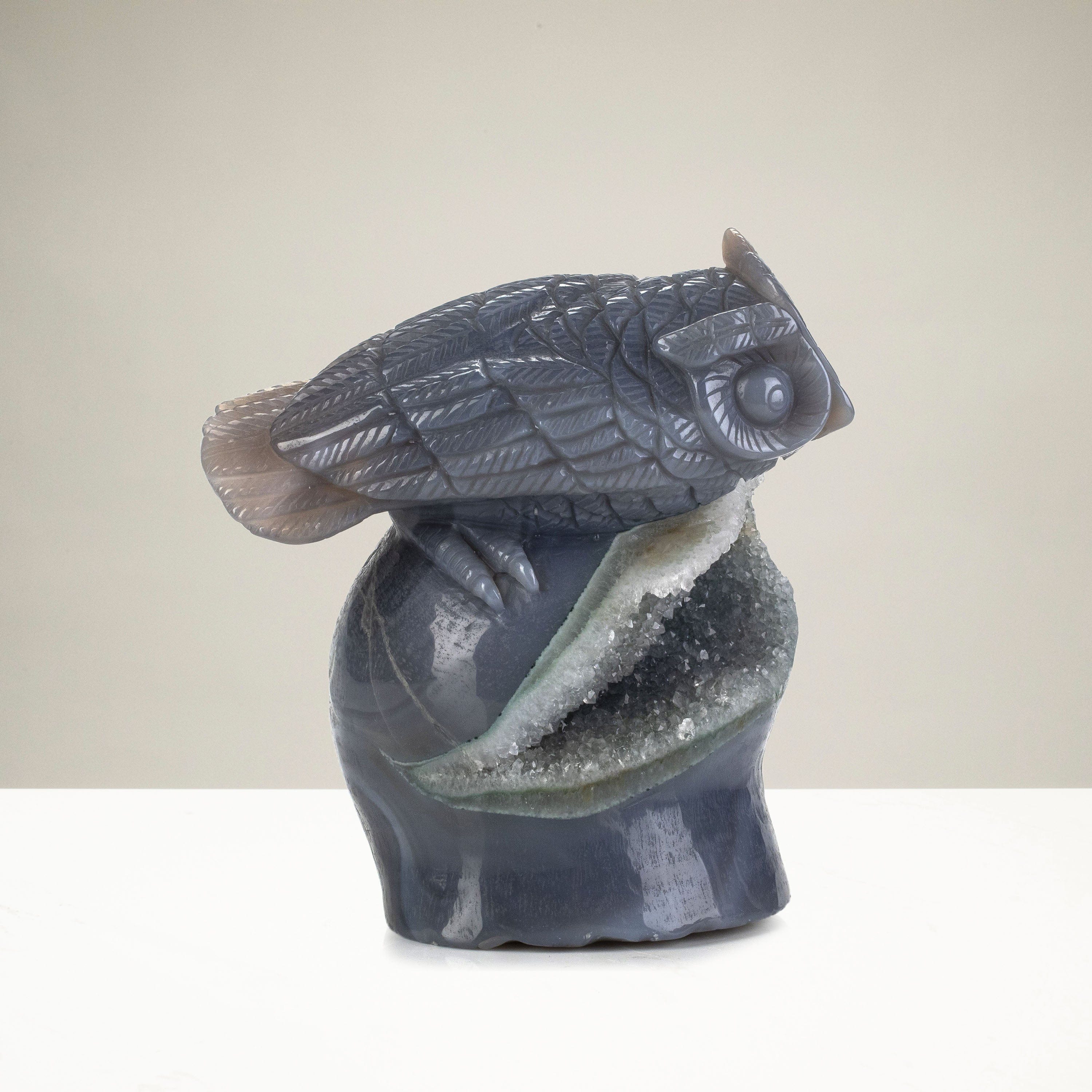 Kalifano Gemstone Carvings Natural Brazilian Blue Lace Agate Owl Animal Carving - 5.1 in CV483.001