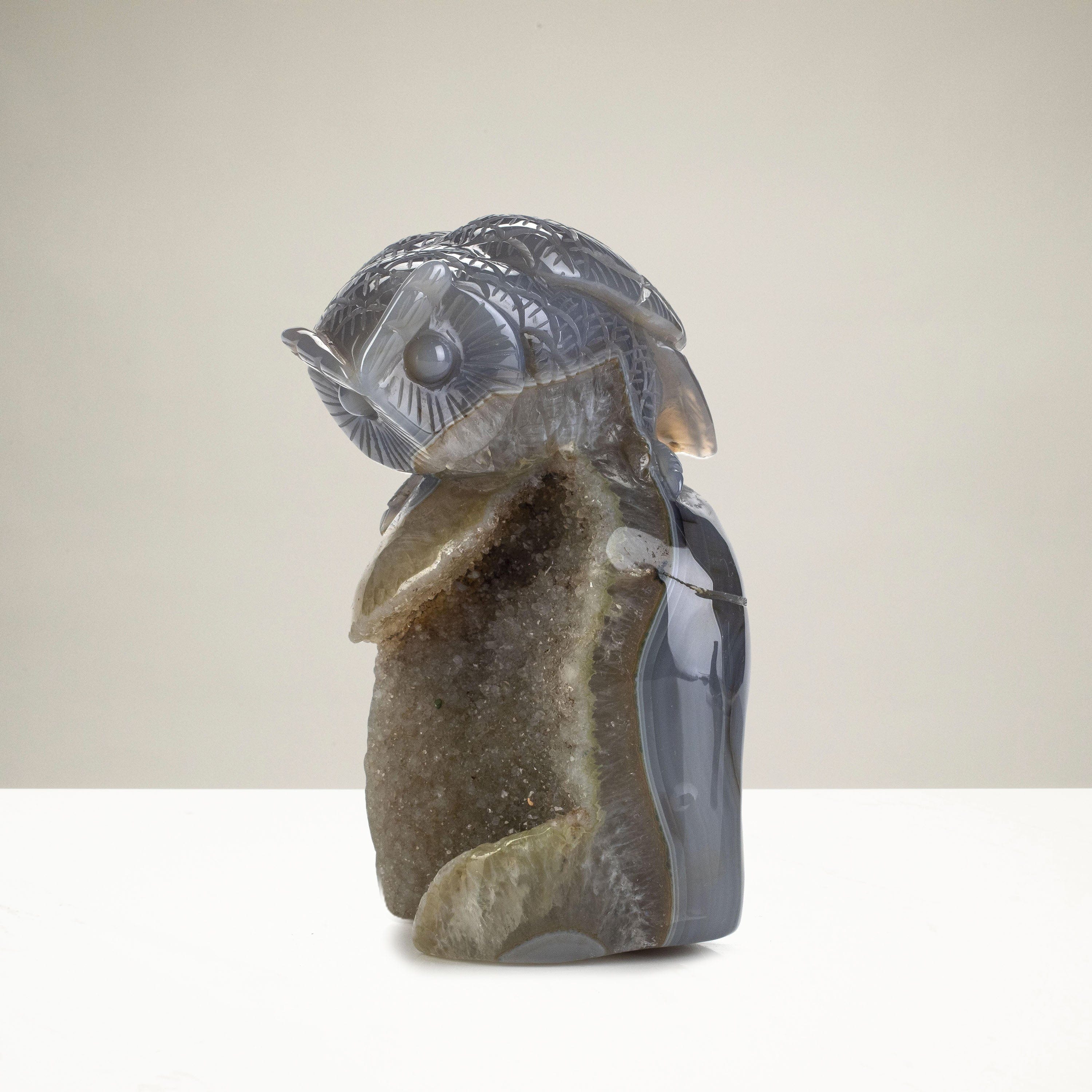 Kalifano Gemstone Carvings Natural Brazilian Blue Lace Agate Owl Animal Carving - 5.6 in CV372.001
