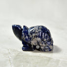 Sodalite Turtle 2'' Natural Gemstone Carving