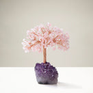 Rose Quartz Natural Gemstone Tree of Life with Amethyst Geode Base