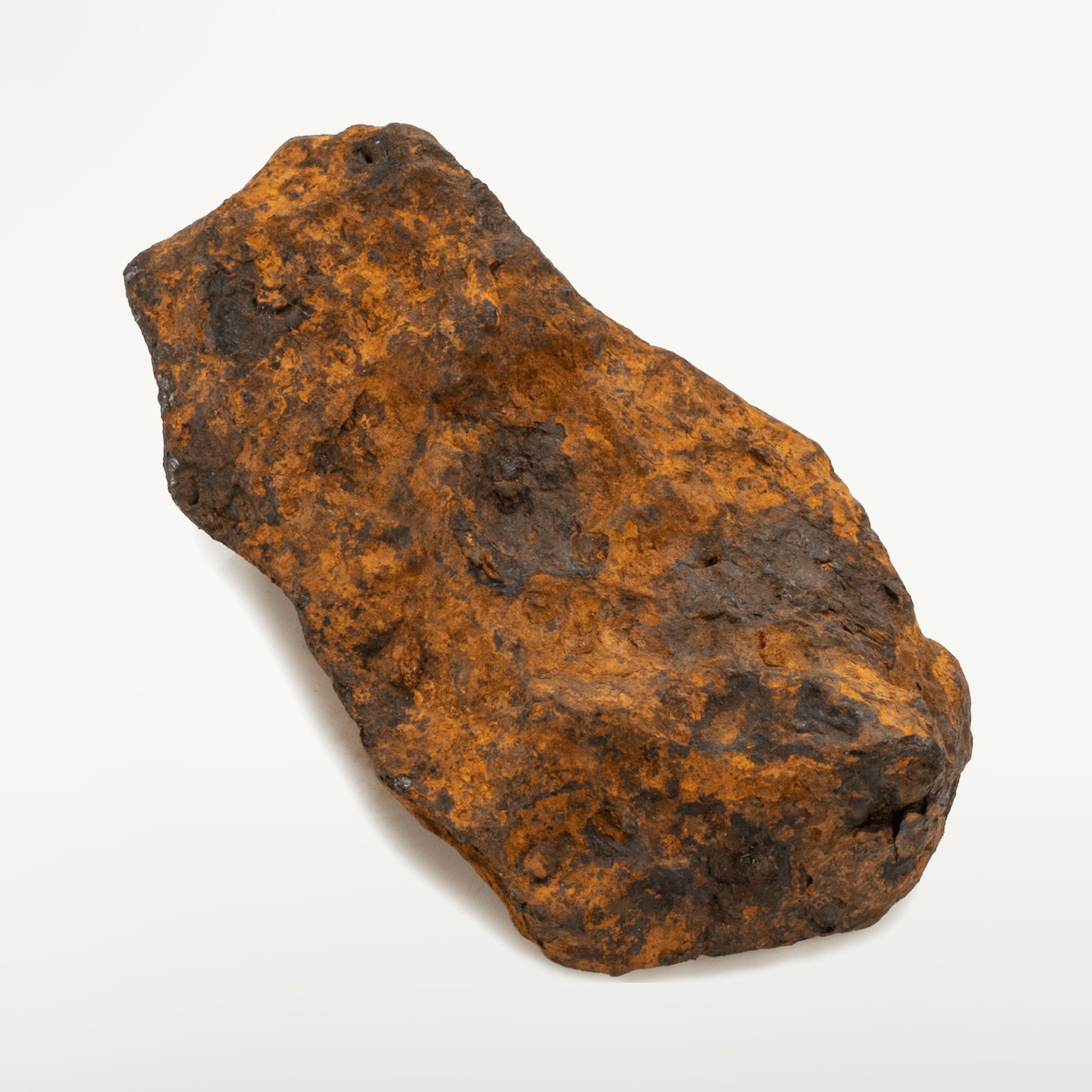 Kalifano Meteorites Natural Chinga Iron Meteorite from Russia - 305 grams MTCH6000.001