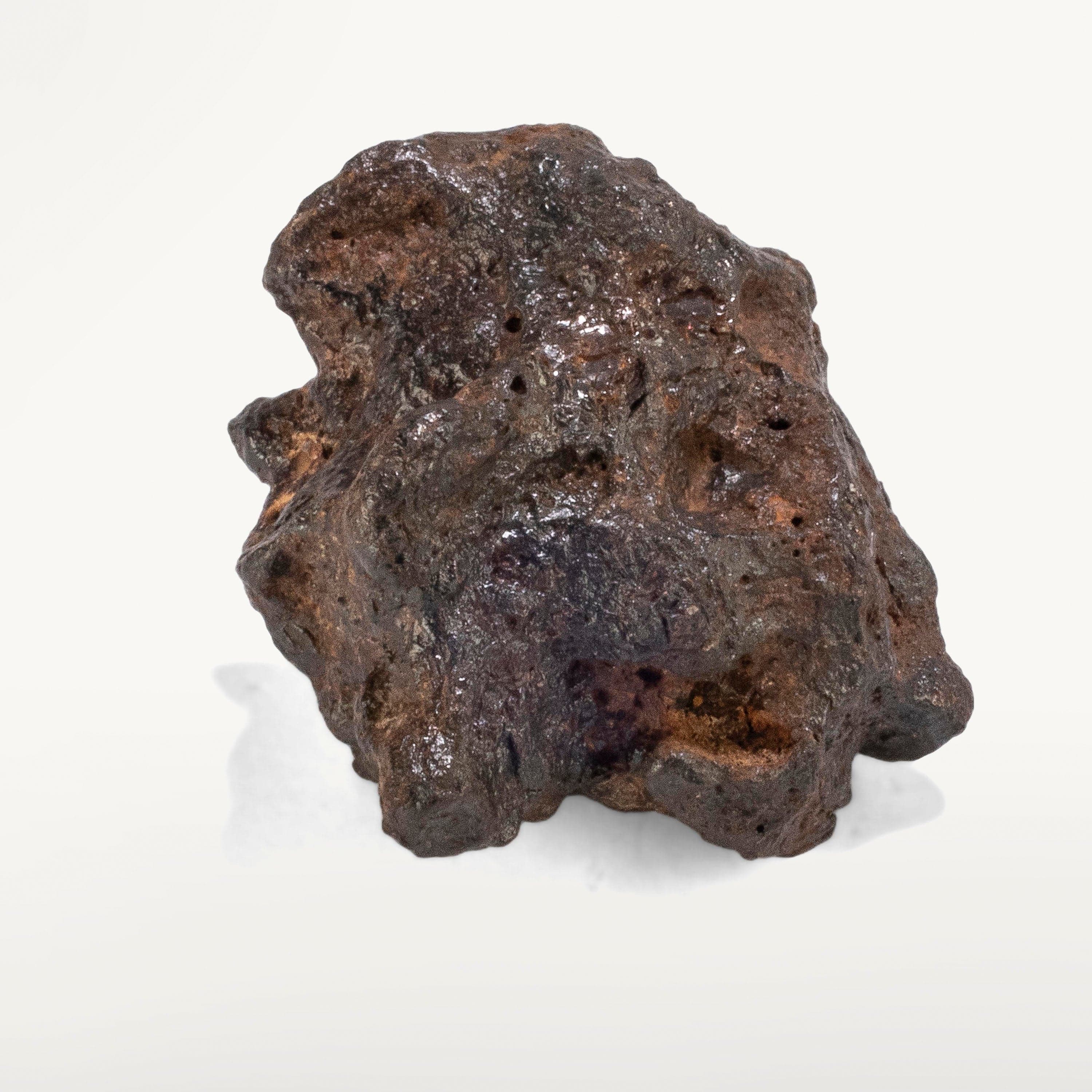 Kalifano Meteorites Sericho Iron Meteorite discovered in Kenya - 20 grams MTCHO400