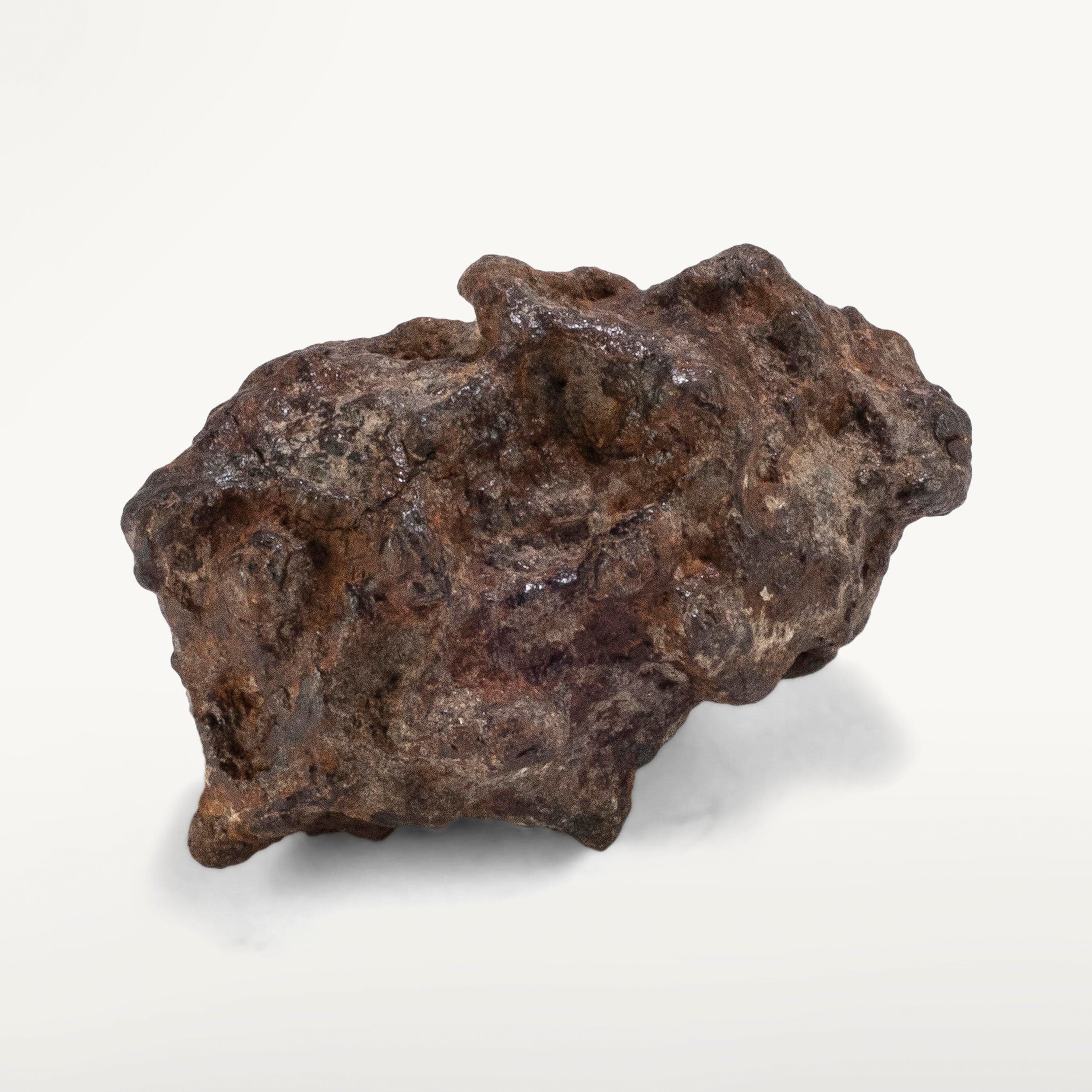 Kalifano Meteorites Sericho Iron Meteorite discovered in Kenya - 31 grams MTCHO600