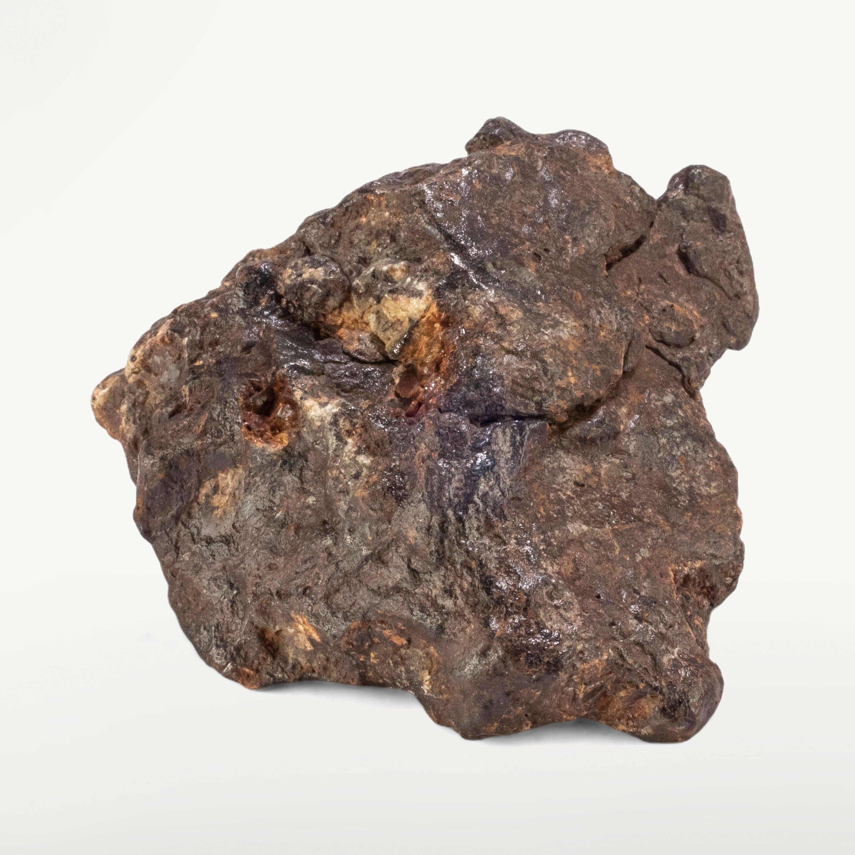 Kalifano Meteorites Sericho Iron Meteorite discovered in Kenya - 62.8 grams MTCHO1200.007