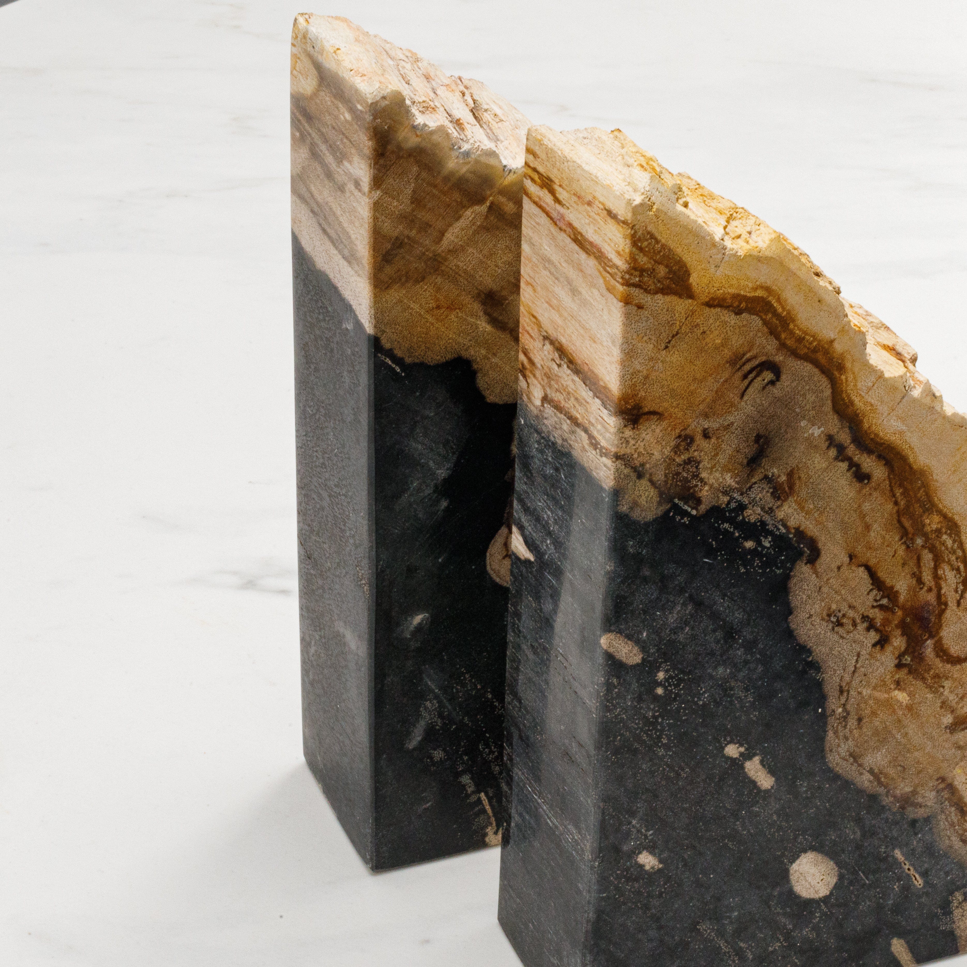 Kalifano Petrified Wood 10" Black Petrified Wood Bookend Pair PWB250-BK