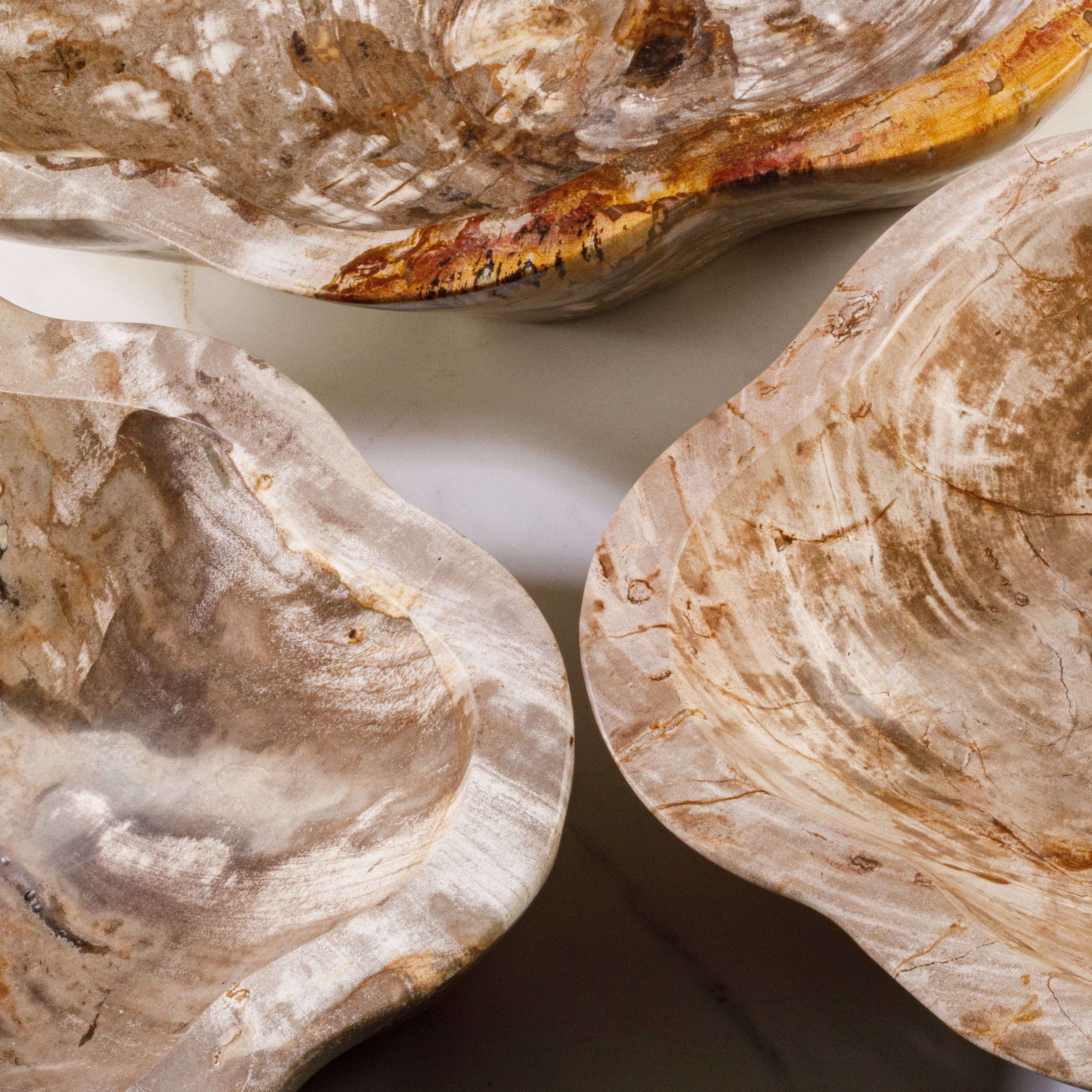 Kalifano Petrified Wood 24" Brown Petrified Wood Flower Bowl PWBO3500-BN