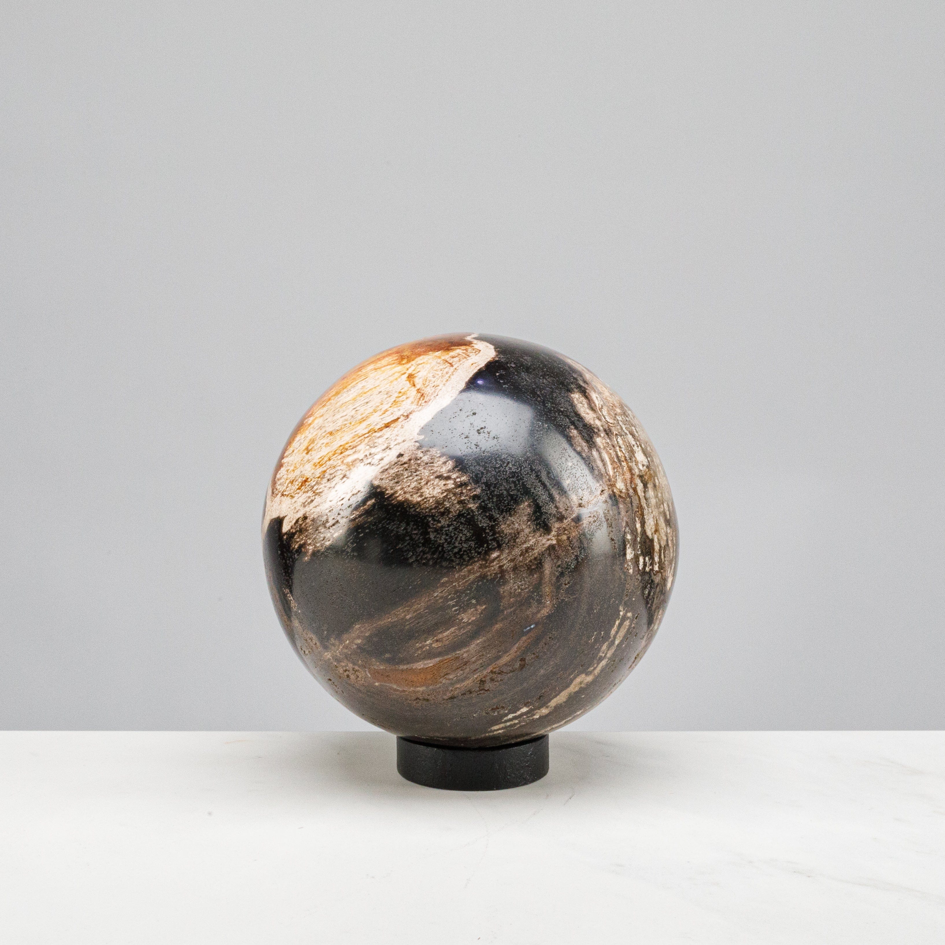 Kalifano Petrified Wood 5" Black Petrified Wood Sphere PWSP200-BK