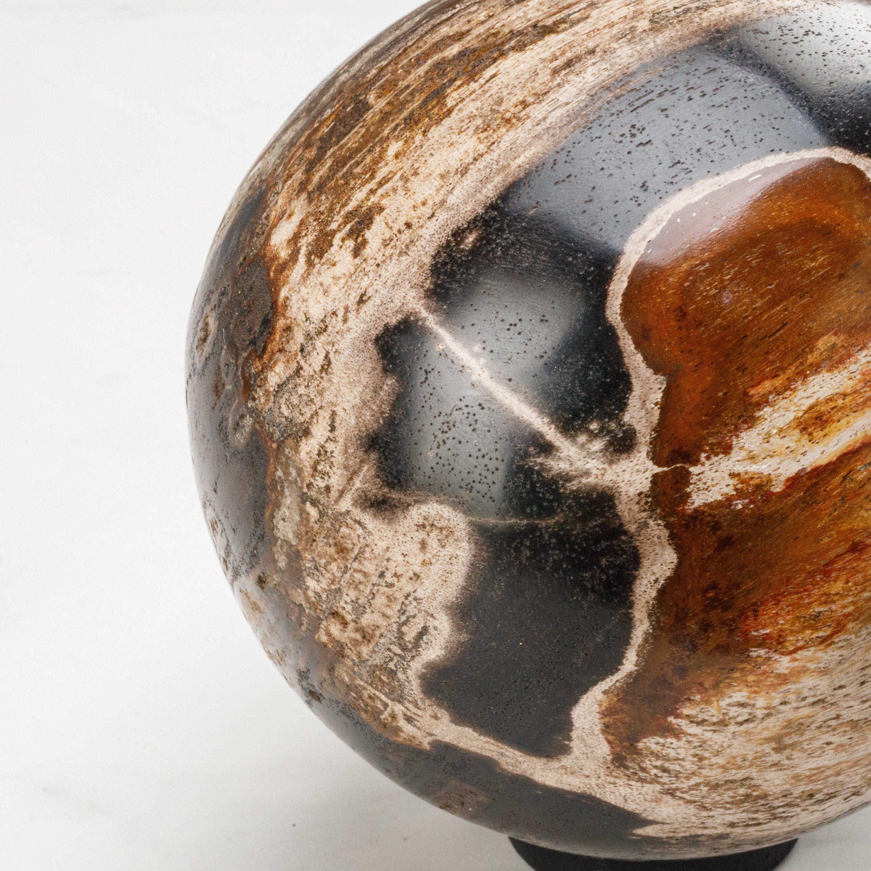 Kalifano Petrified Wood 5" Black Petrified Wood Sphere PWSP200-BK