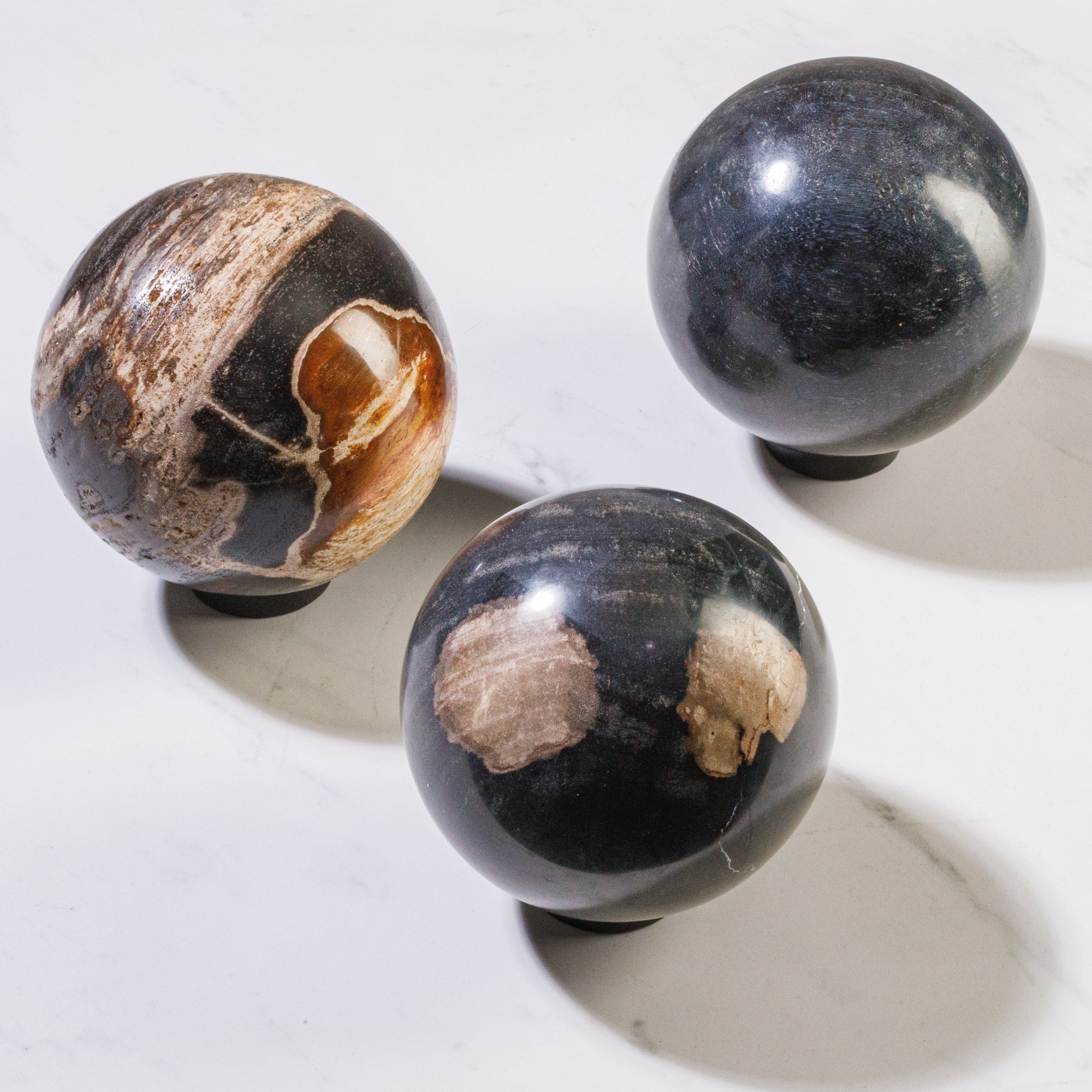 Kalifano Petrified Wood 5" Black Petrified Wood Sphere PWSP200-BK
