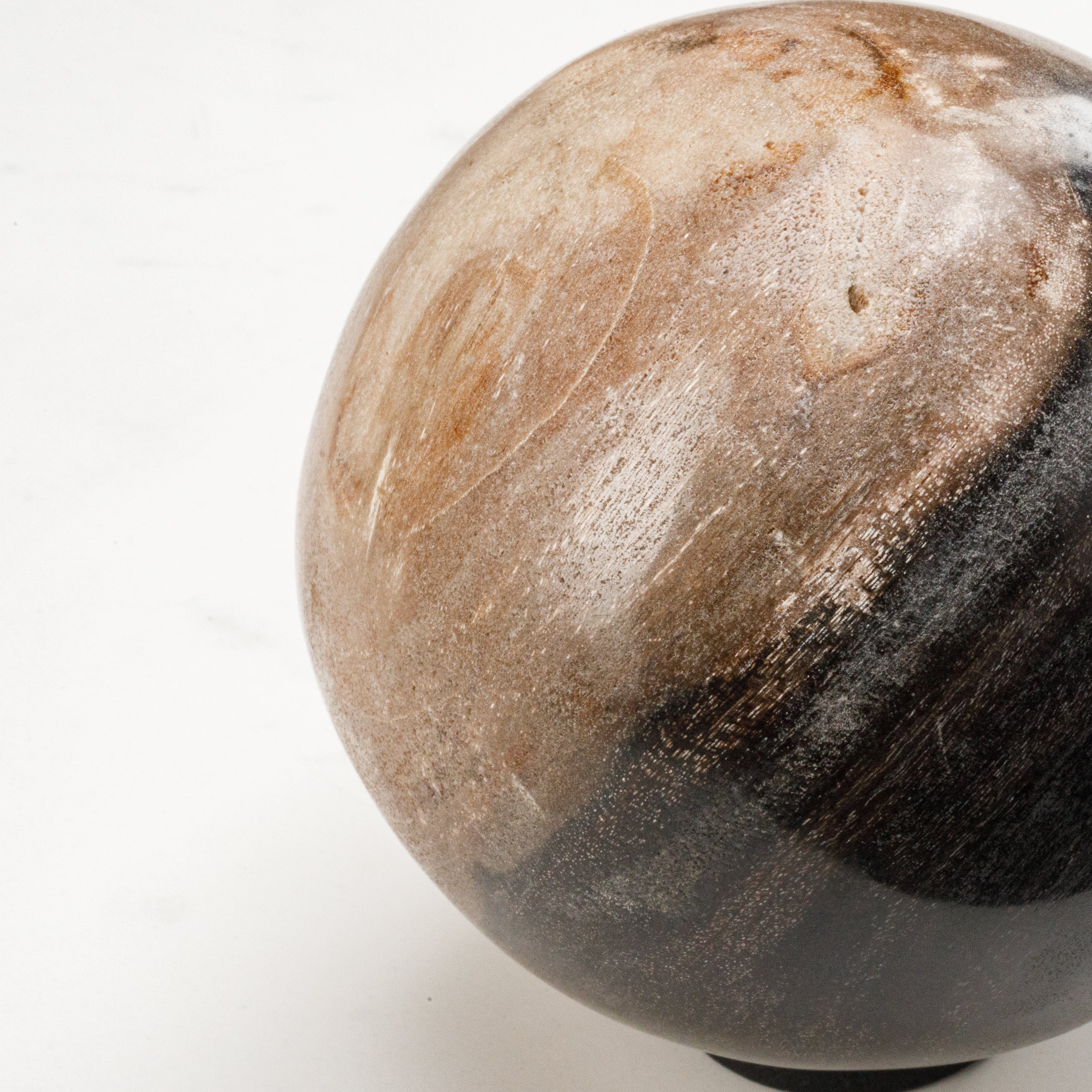 Kalifano Petrified Wood 5" Brown Petrified Wood Sphere PWSP200-BN