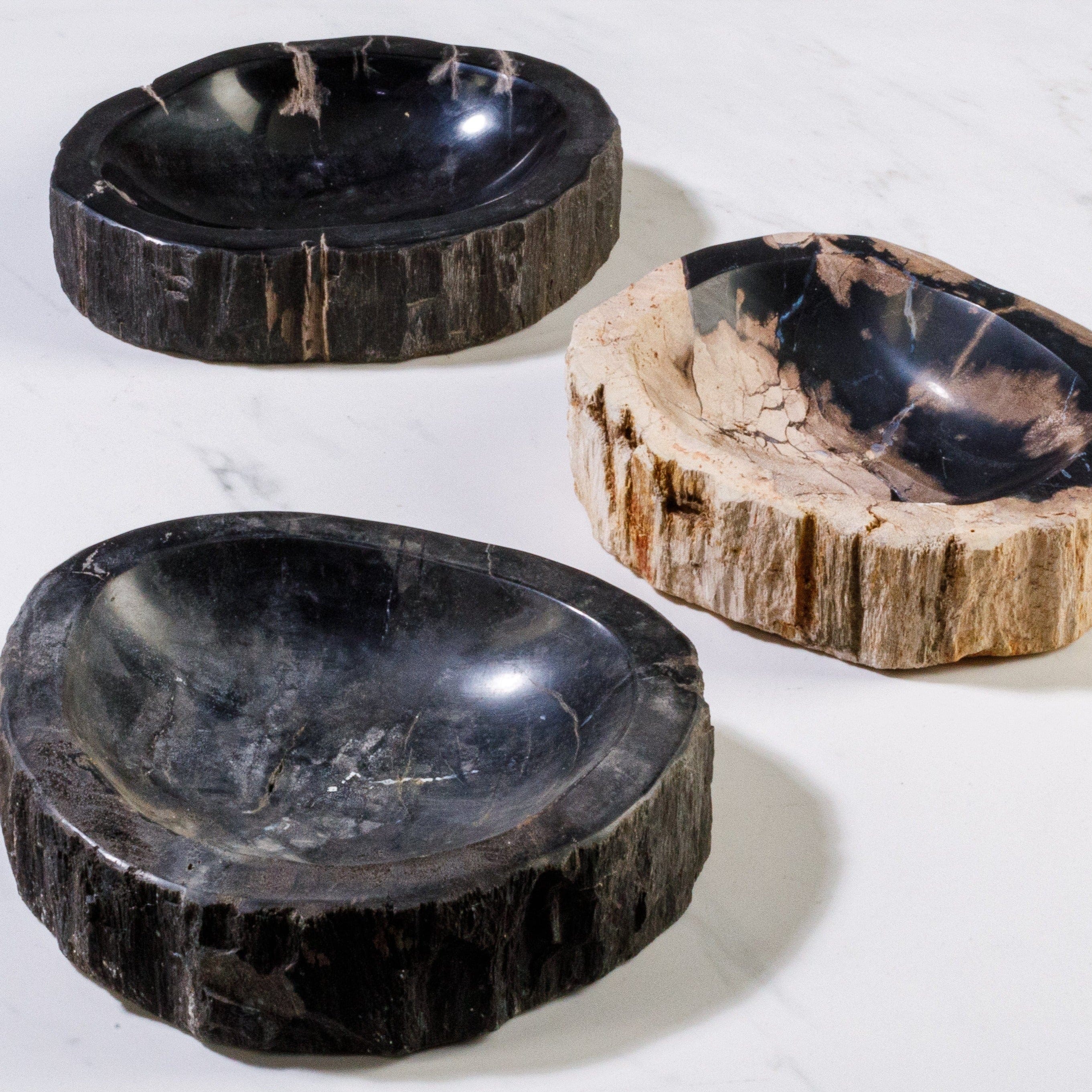 Kalifano Petrified Wood 7" Black Petrified Wood Ashtray PWAT250-BK