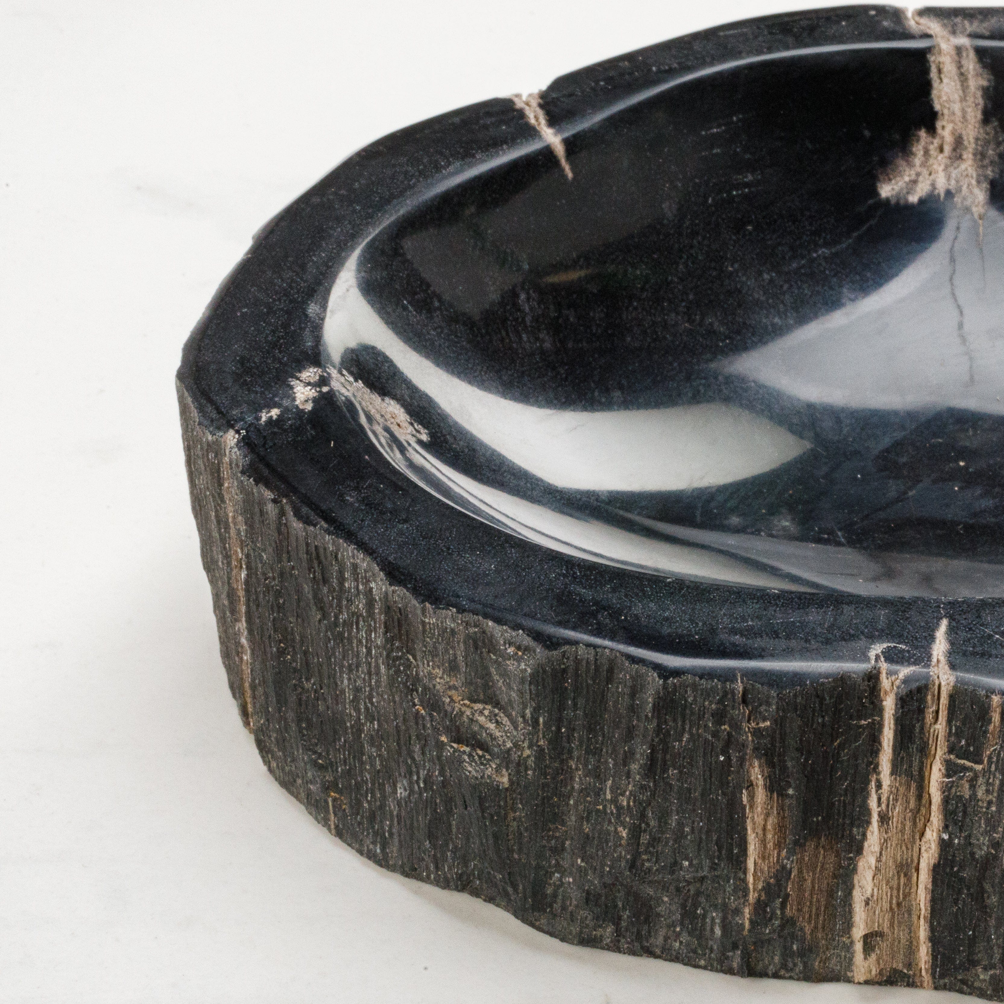 Kalifano Petrified Wood 7" Black Petrified Wood Ashtray PWAT250-BK