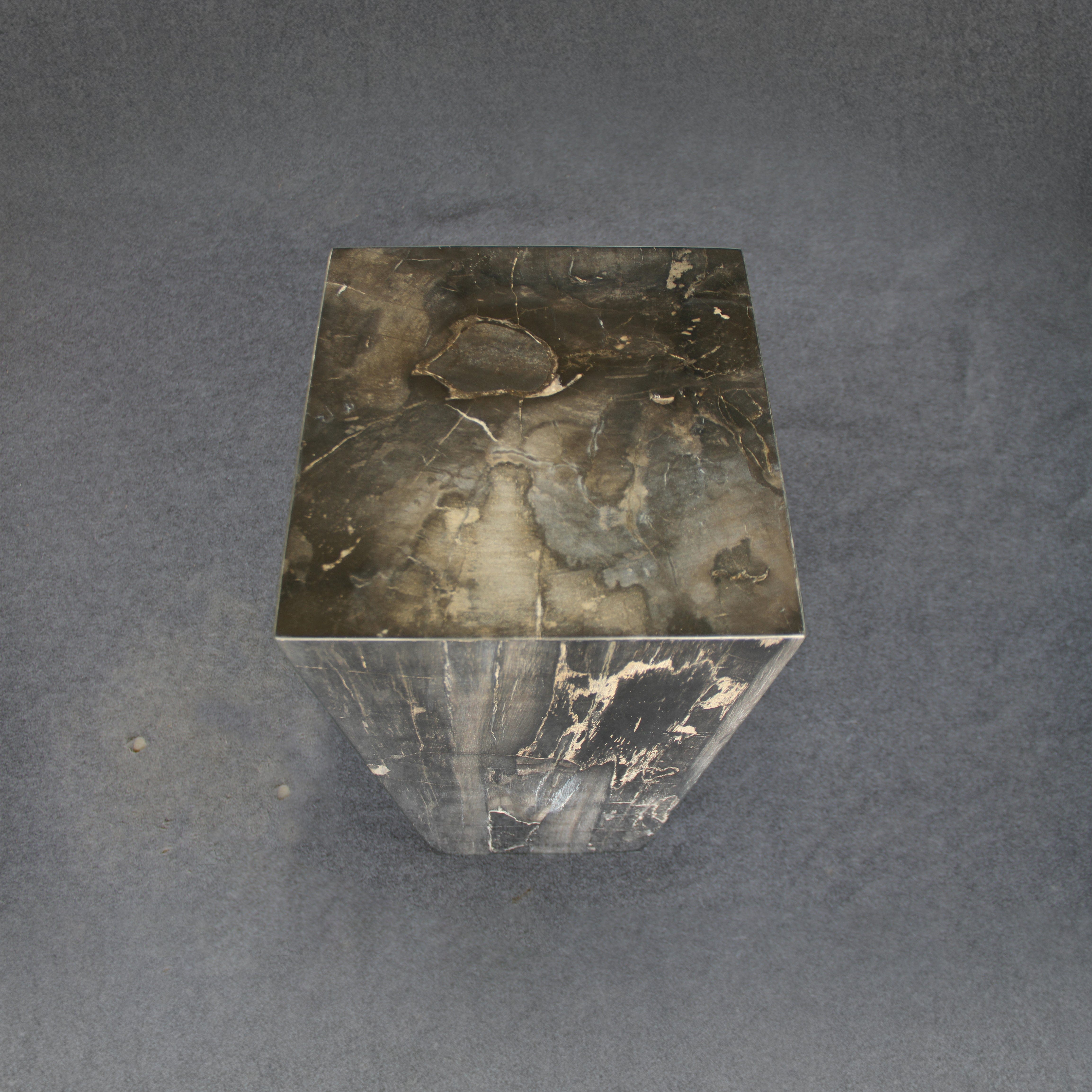 Kalifano Petrified Wood Black Petrified Wood Hollow Square Pedestal 39" / 170 lbs PWP8000.029