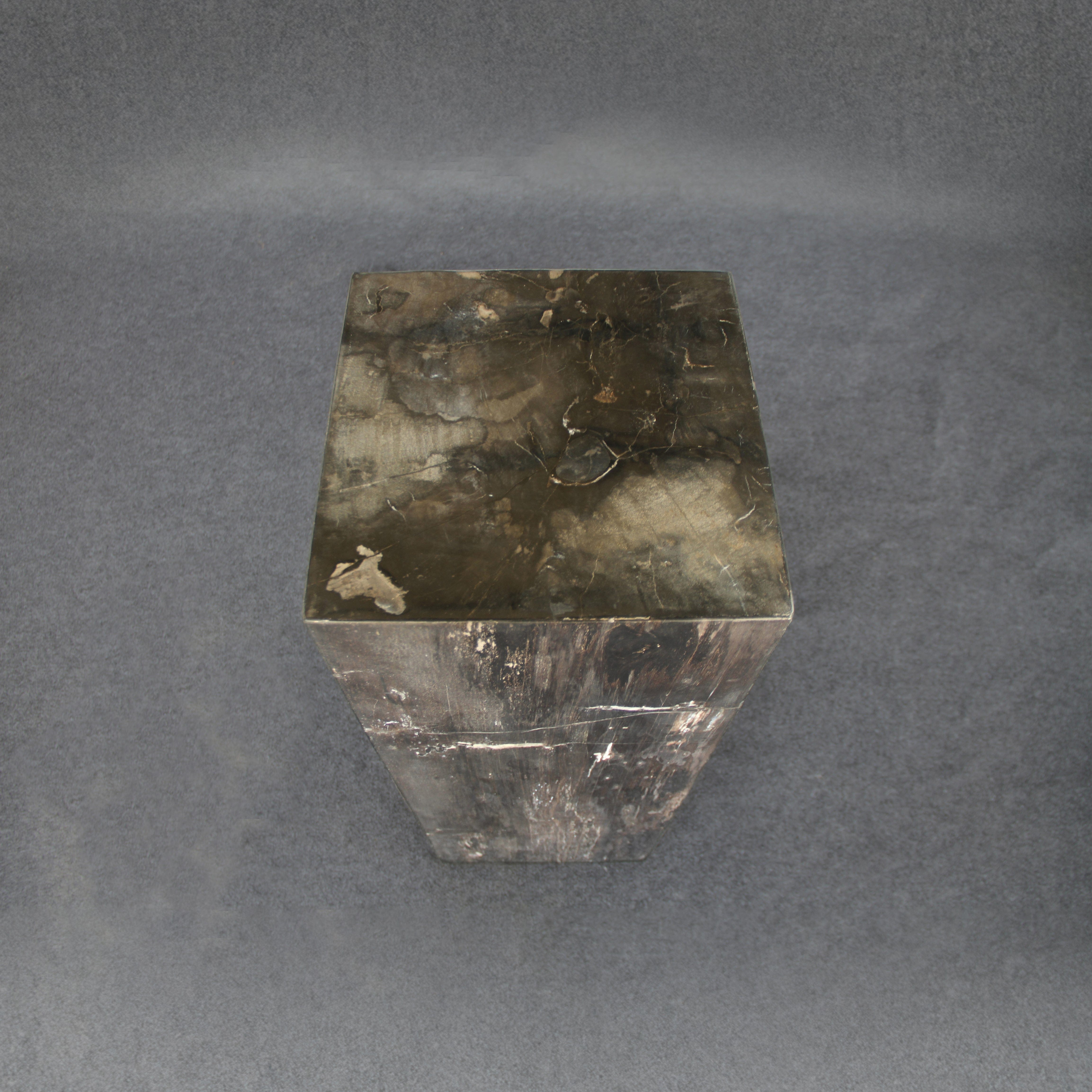 Kalifano Petrified Wood Black Petrified Wood Hollow Square Pedestal 39" / 172 lbs PWP8000.033