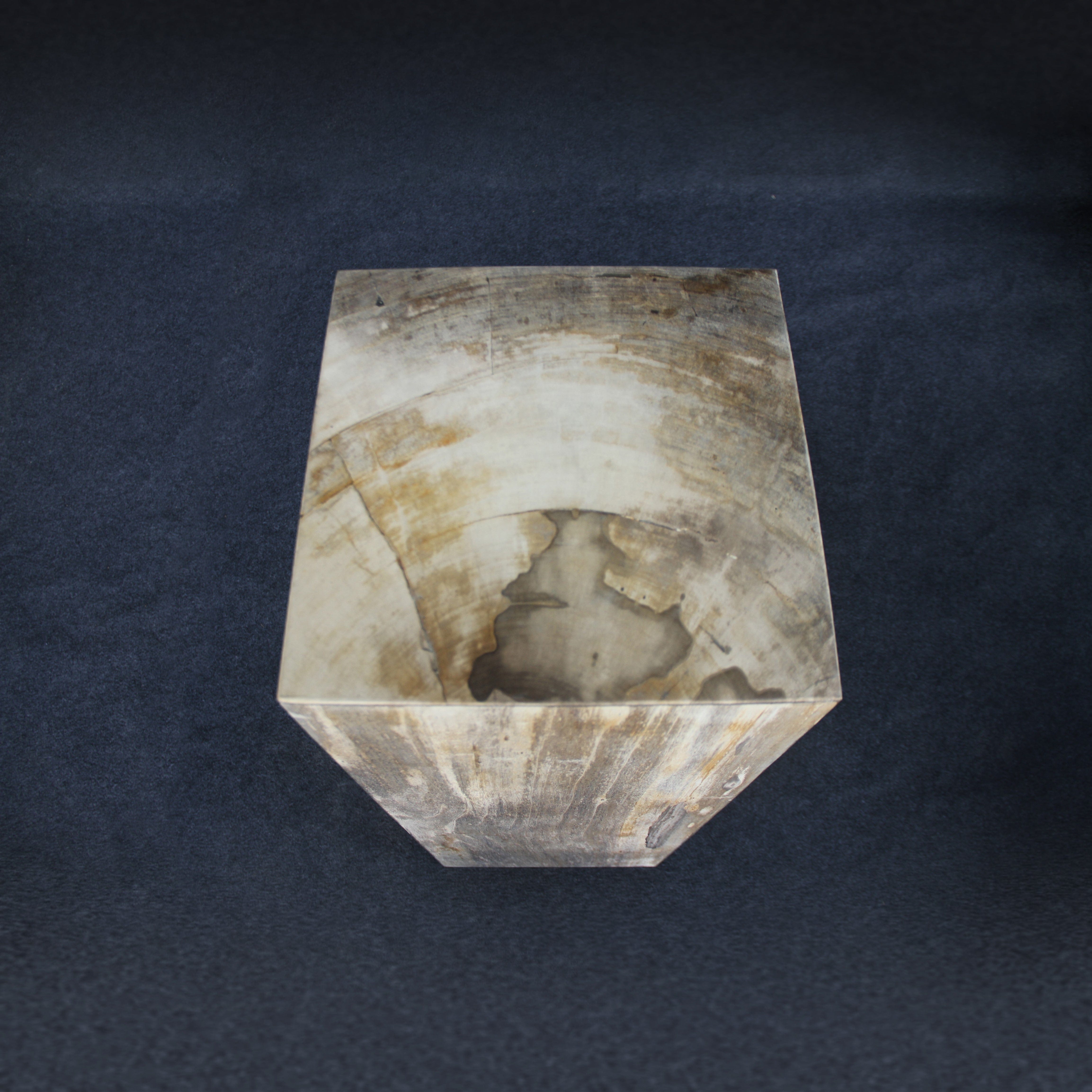 Kalifano Petrified Wood Brown Petrified Wood Hollow Square Pedestal 39" / 163 lbs PWP8000.018