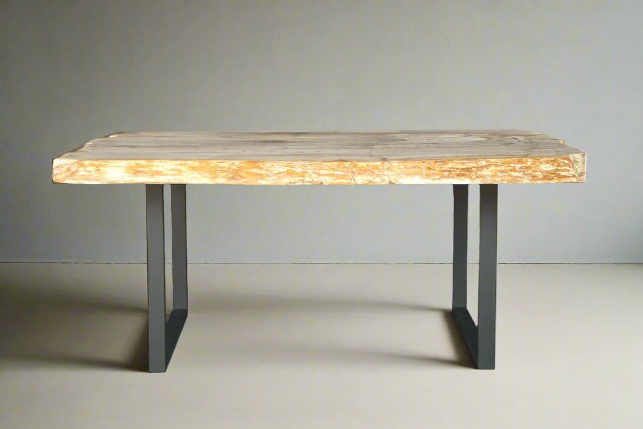 Kalifano Petrified Wood Petrified Wood Console Table 70" / 759 lbs PWR28000.001