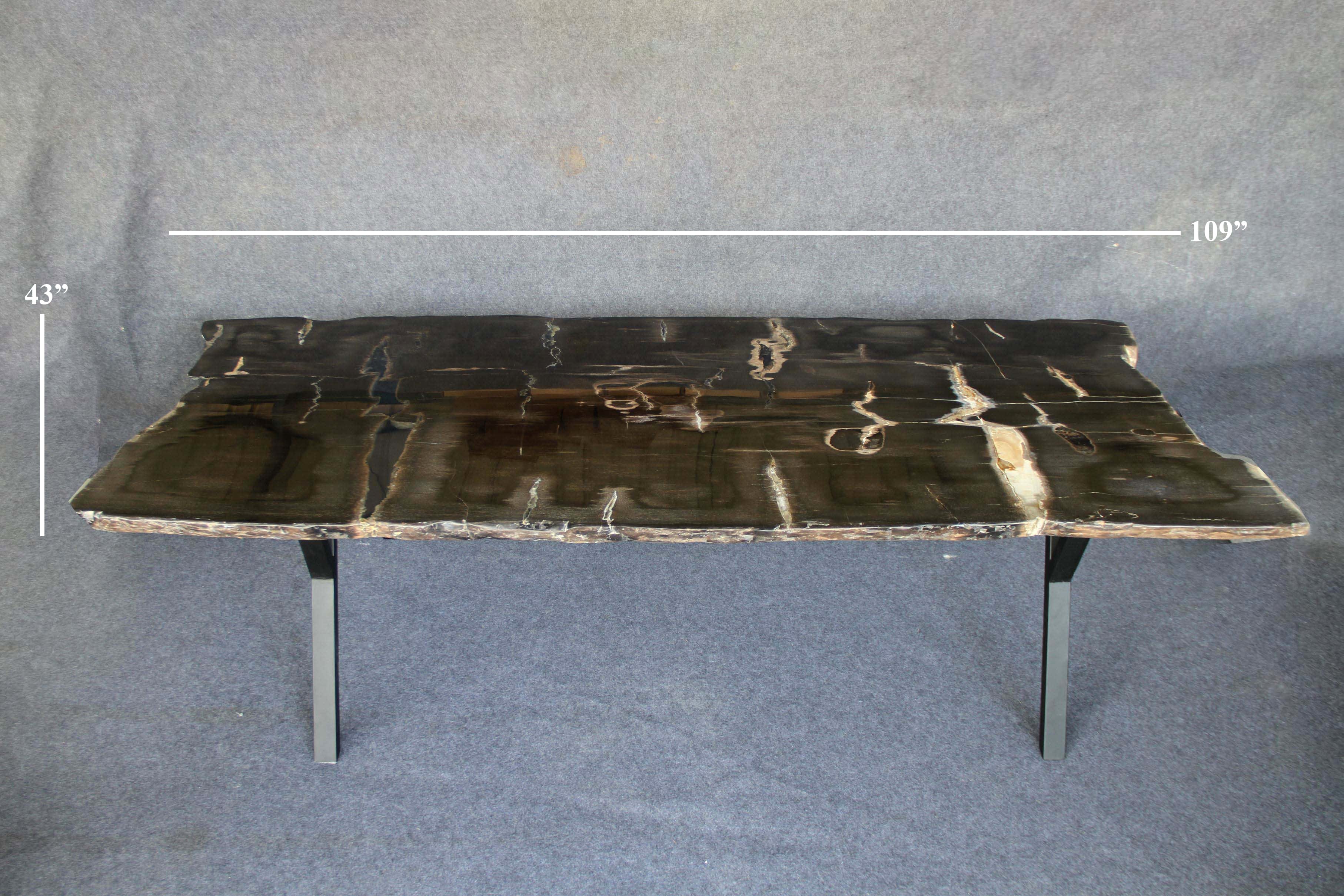 Kalifano Petrified Wood Petrified Wood Dining Table Specimen 109" / 757 lbs PWT130000.003