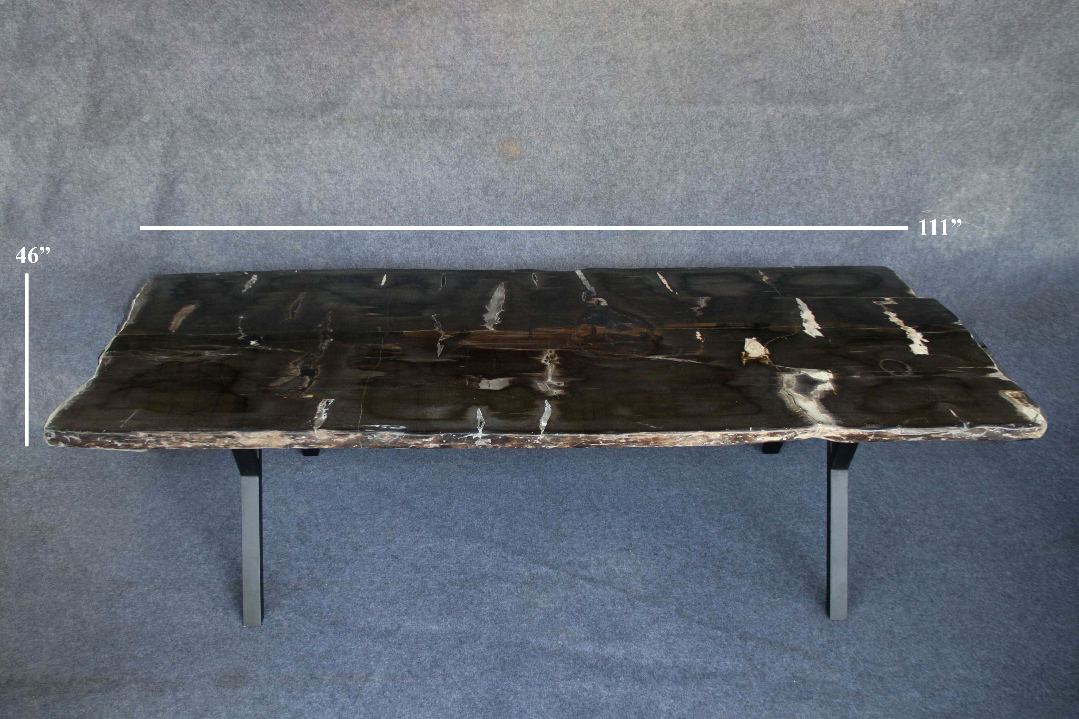 Kalifano Petrified Wood Petrified Wood Dining Table Specimen 111" / 902 lbs PWT130000.002
