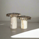 Petrified Wood Mushroom Side (Table A) 19